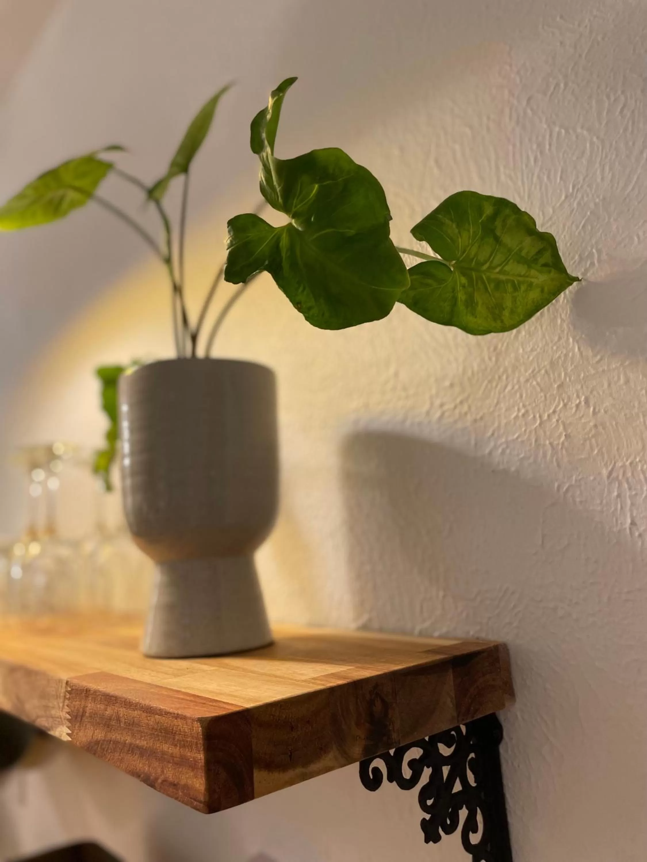 Kitchen or kitchenette in Flora House Denver