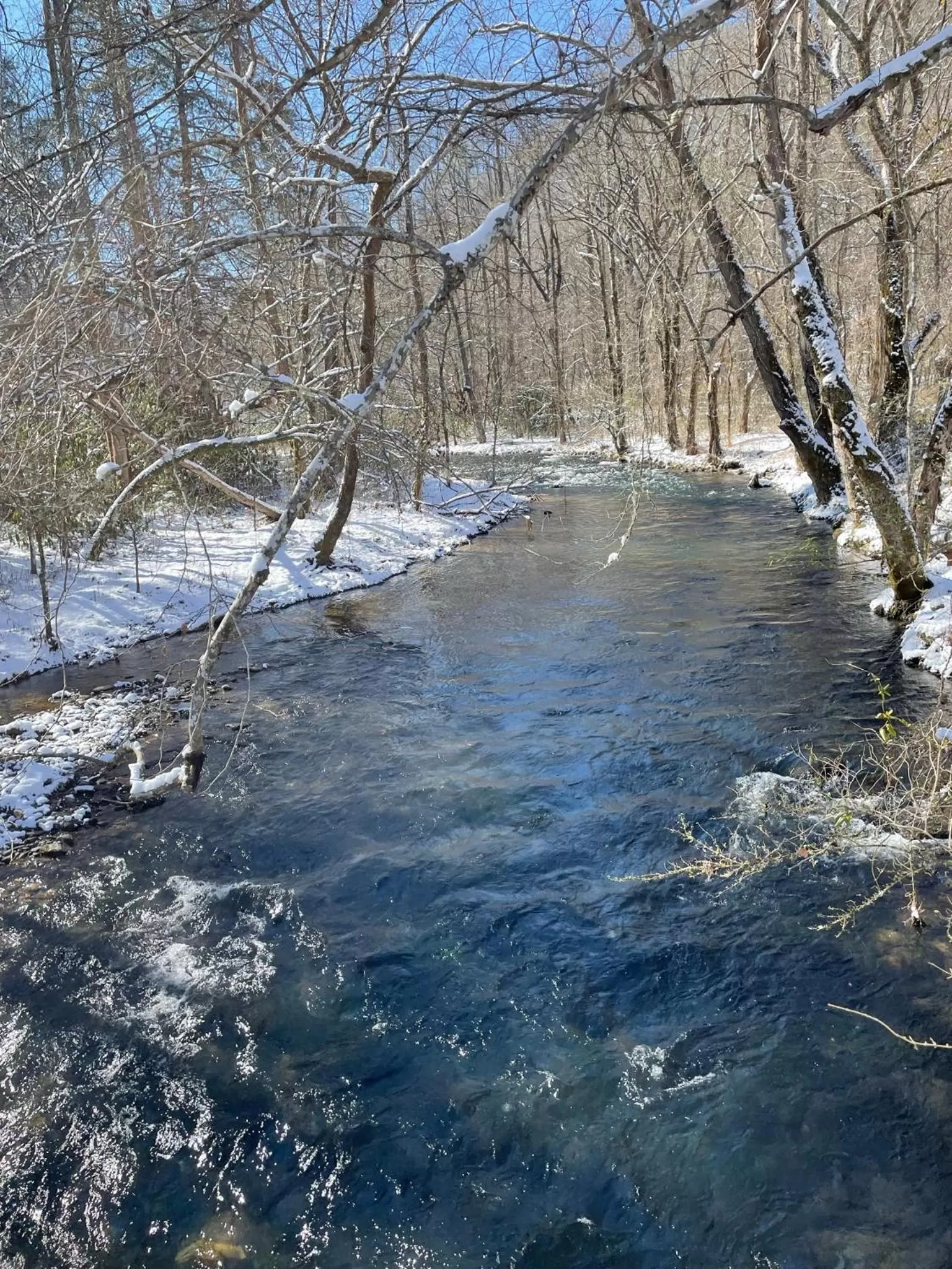 The Lodge Nantahala River