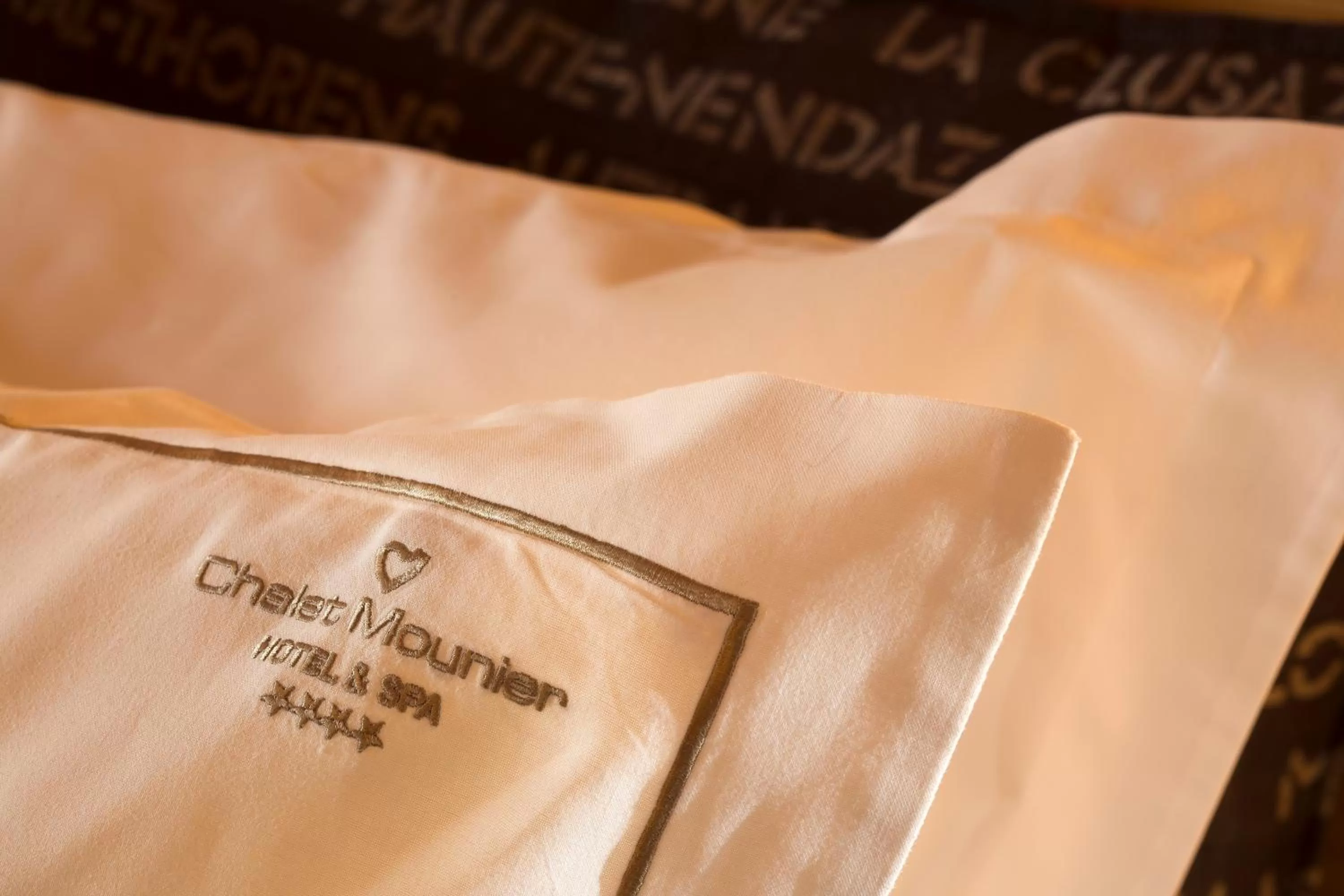 Decorative detail in Hôtel Chalet Mounier