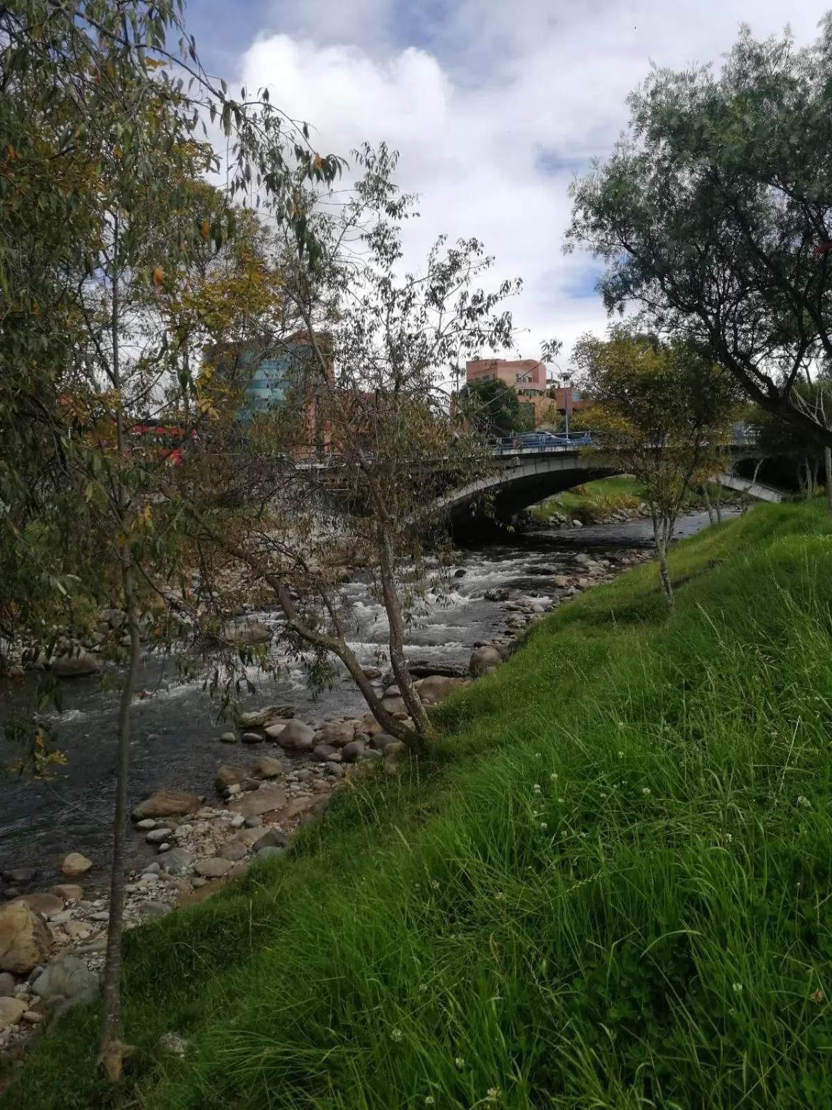 Natural landscape, Garden in Casatodosantos