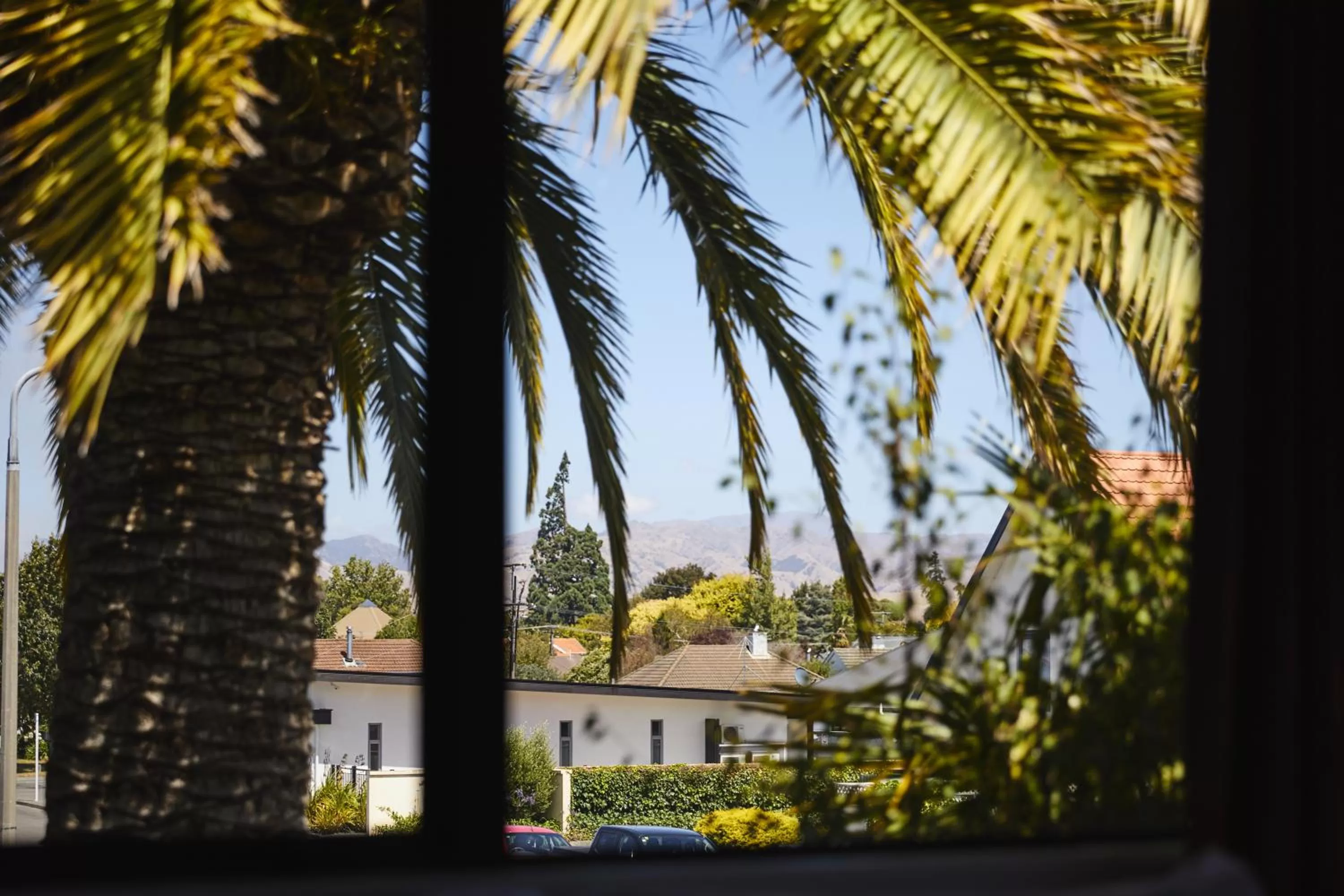 City view in Blenheim Palms Motel