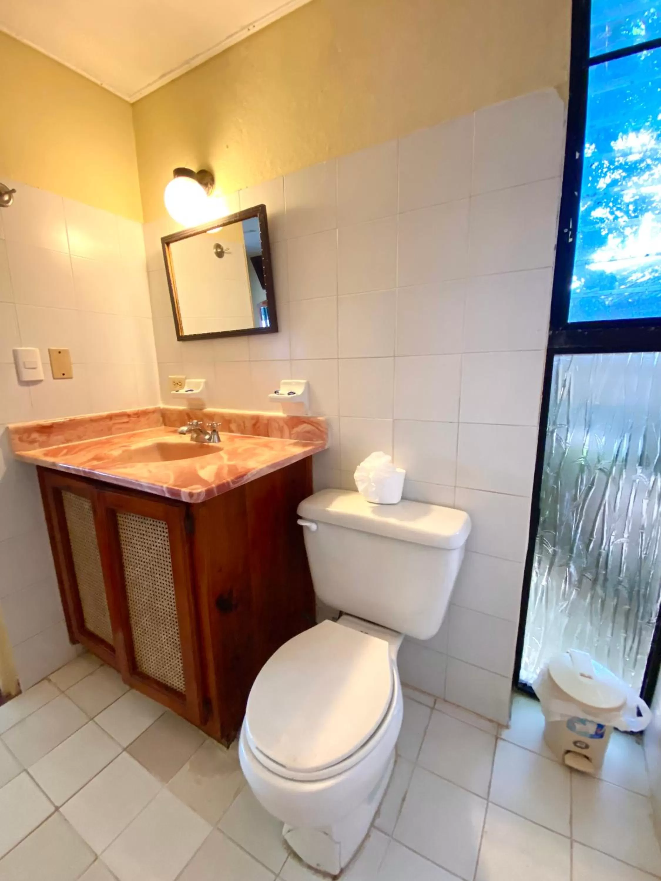 Toilet in Hotel Alegria