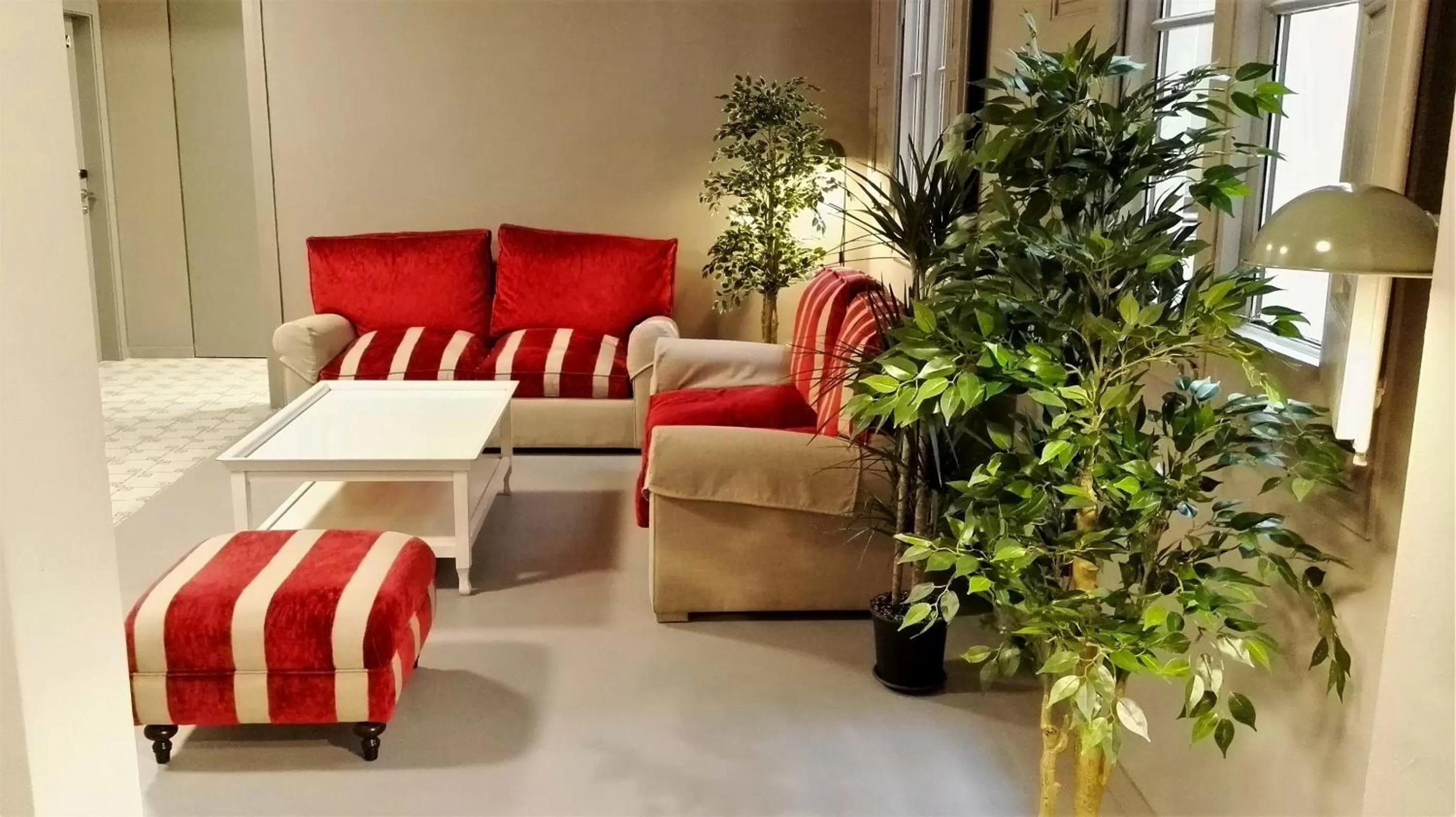 Area and facilities in Casa Abamita