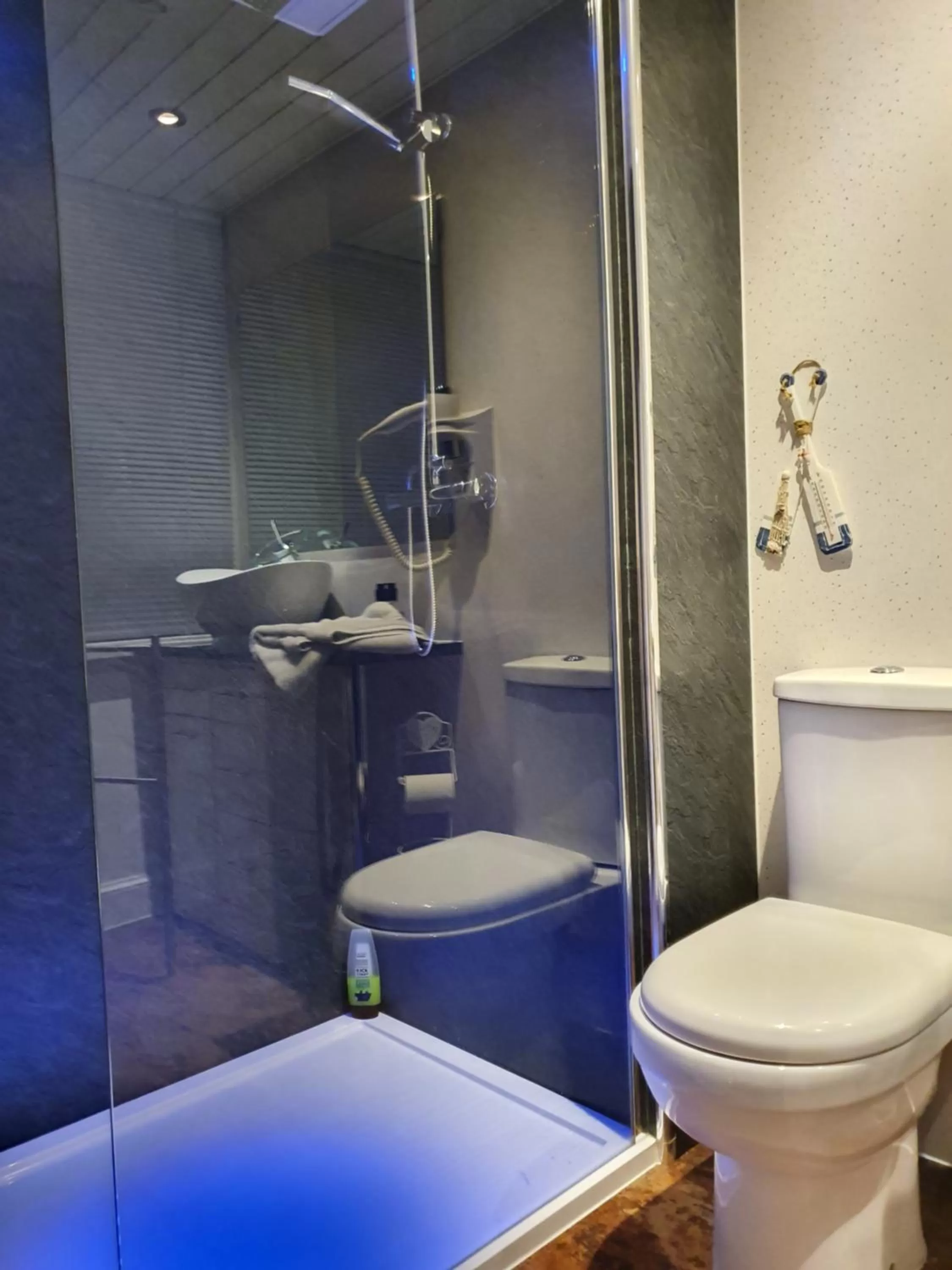 Shower, Bathroom in Maple Cottage B&B