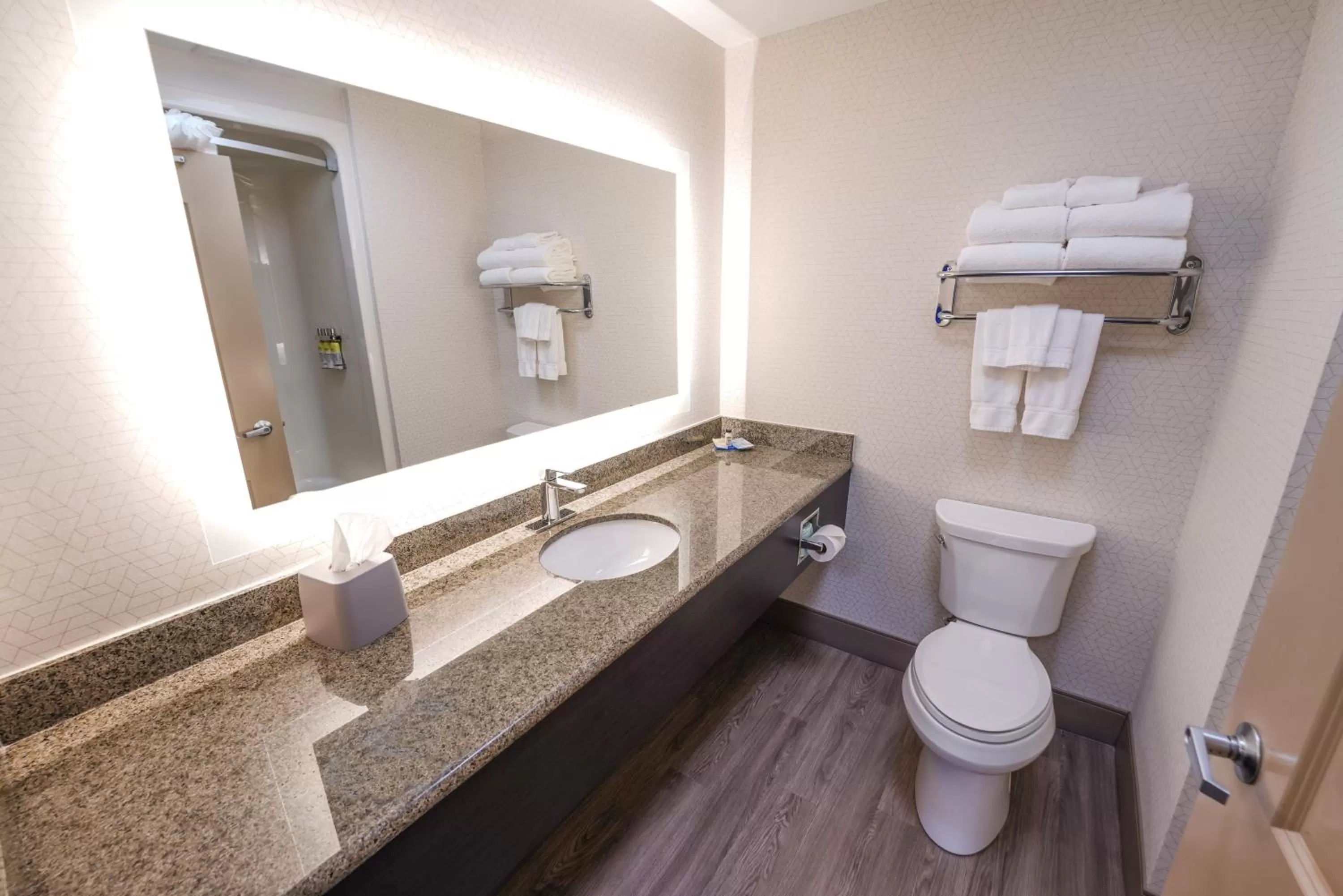 Bathroom in Holiday Inn Express and Suites Springfield Medical District by IHG