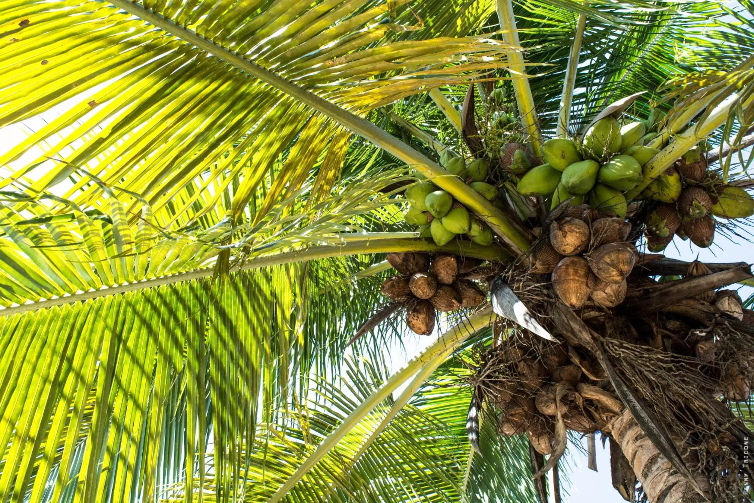 Garden in Horse Cottage