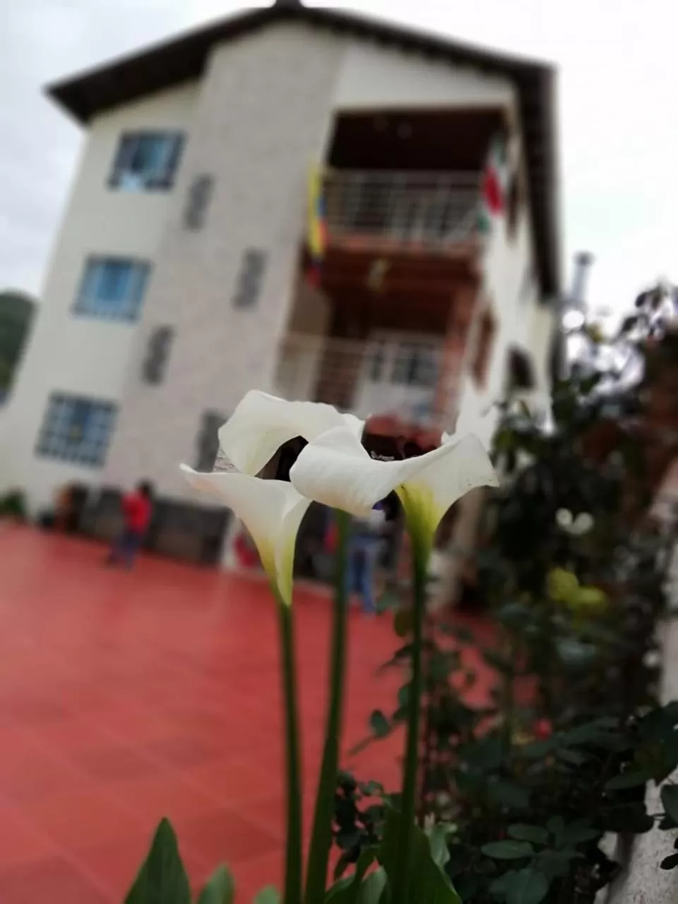 Portal de la Cascada - Mongui