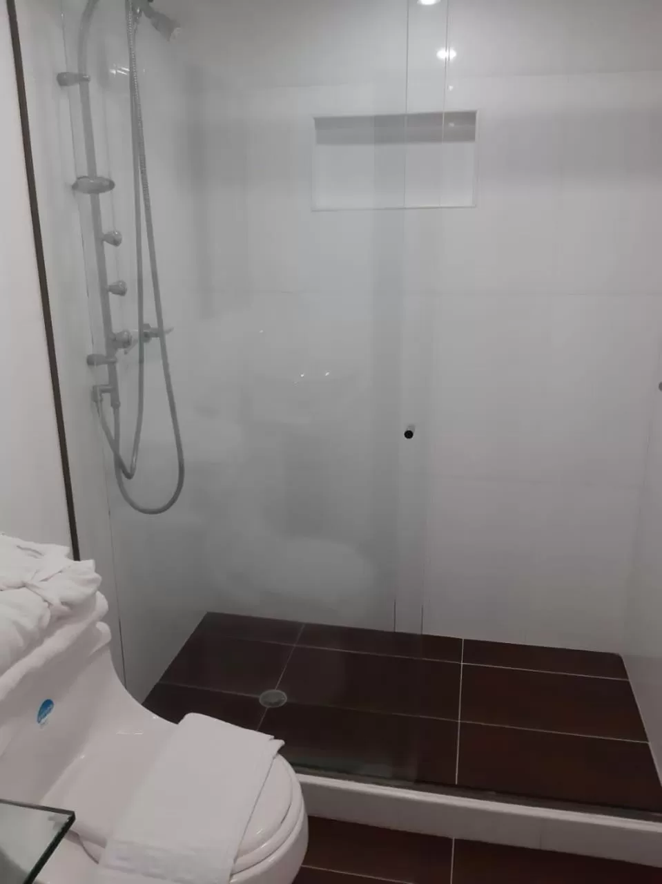 Shower, Bathroom in Hotel Casa Madero
