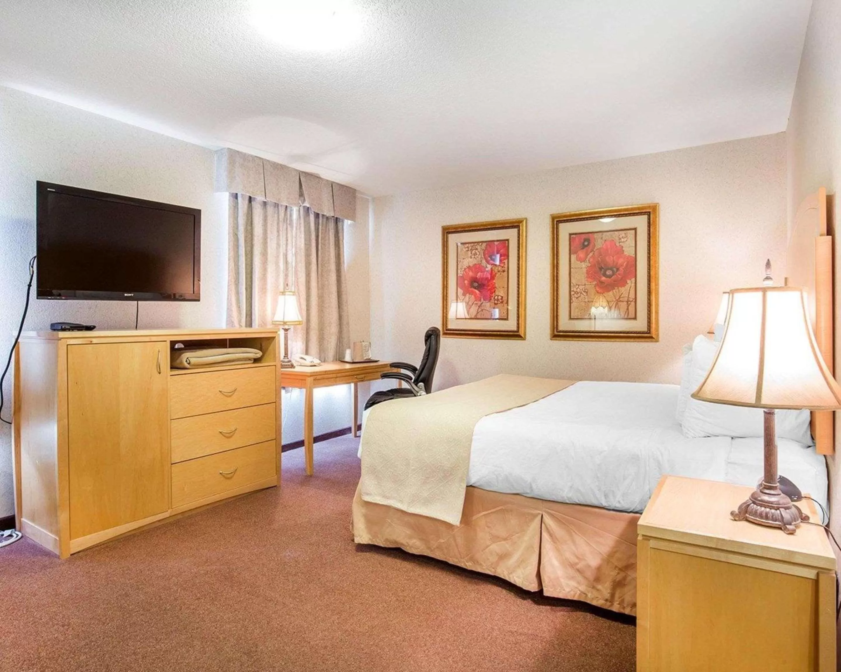 Photo of the whole room, Bed in Quality Inn & Suites