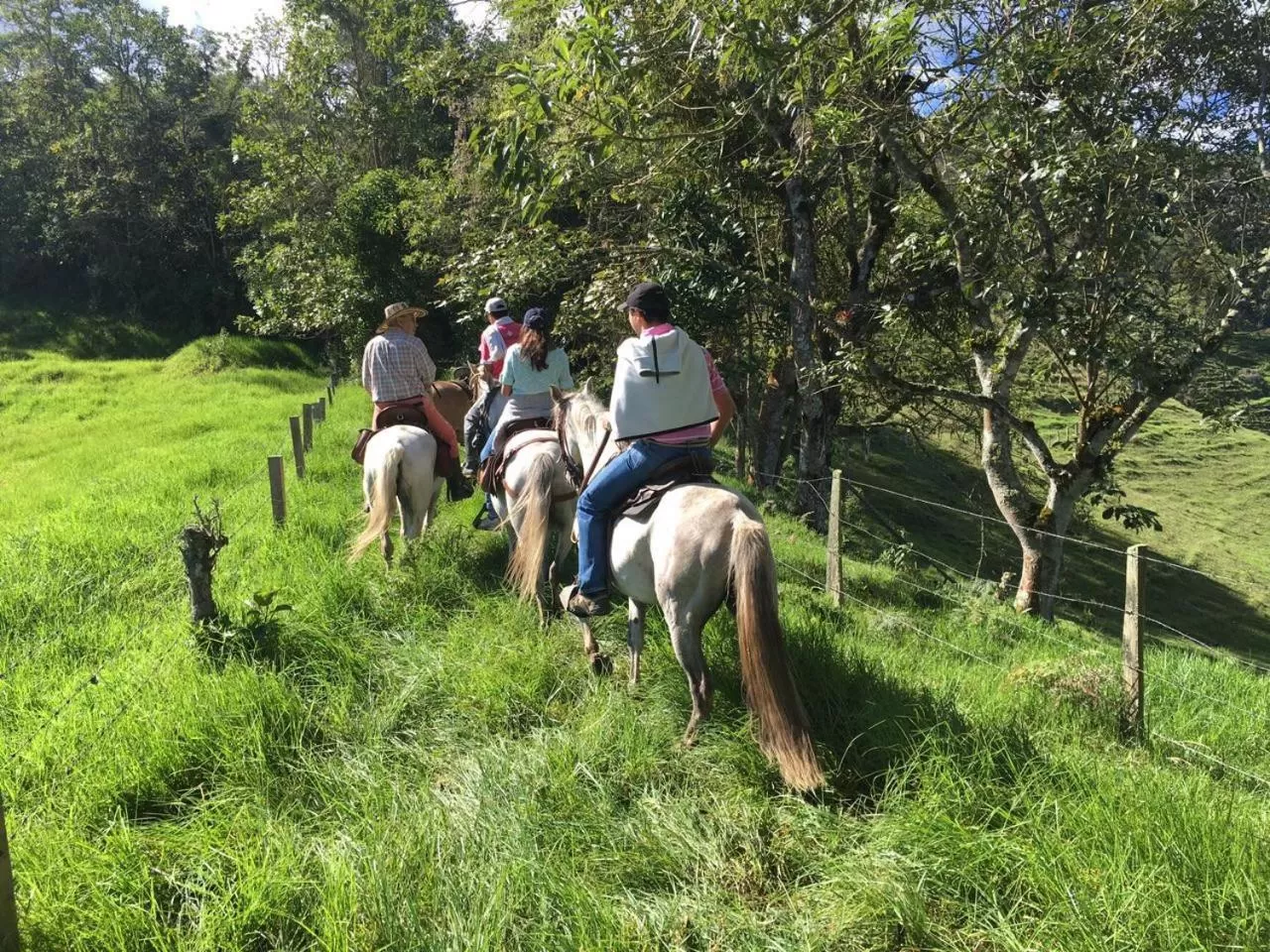 Horse-riding in La Cabaña Ecohotel - Valle del Cocora