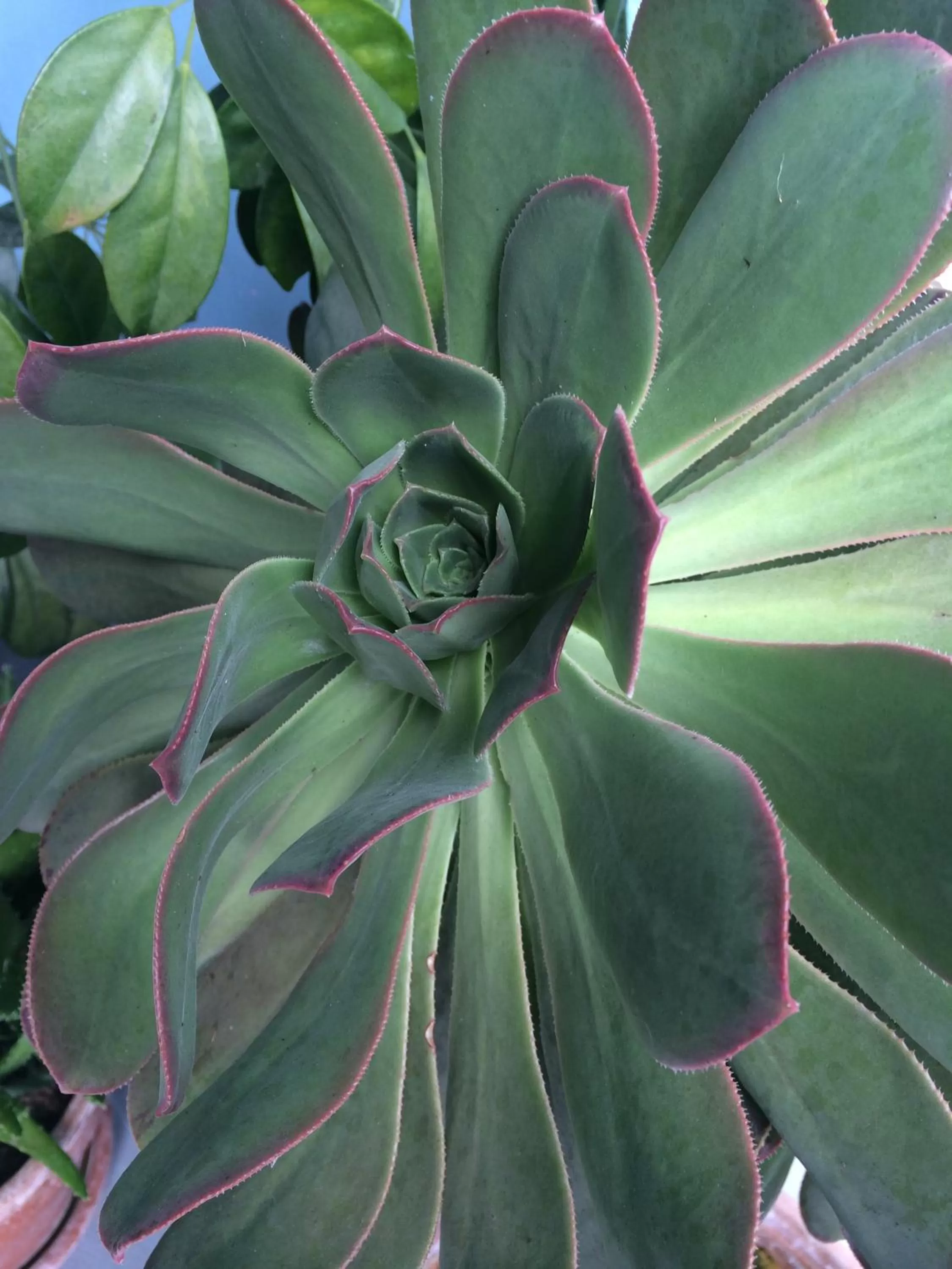 Lyonesse Guest House