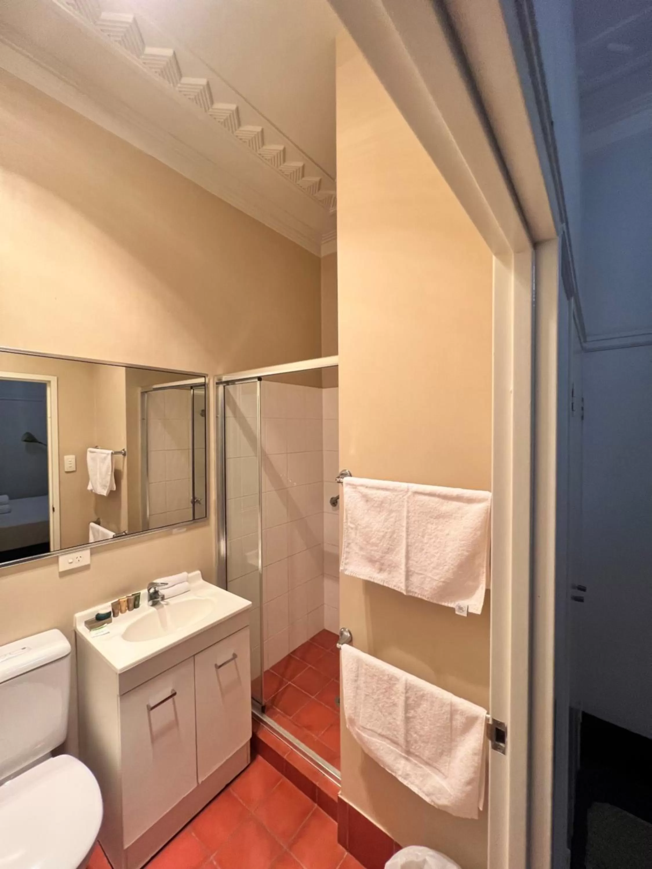 Shower in Charing Cross Hotel