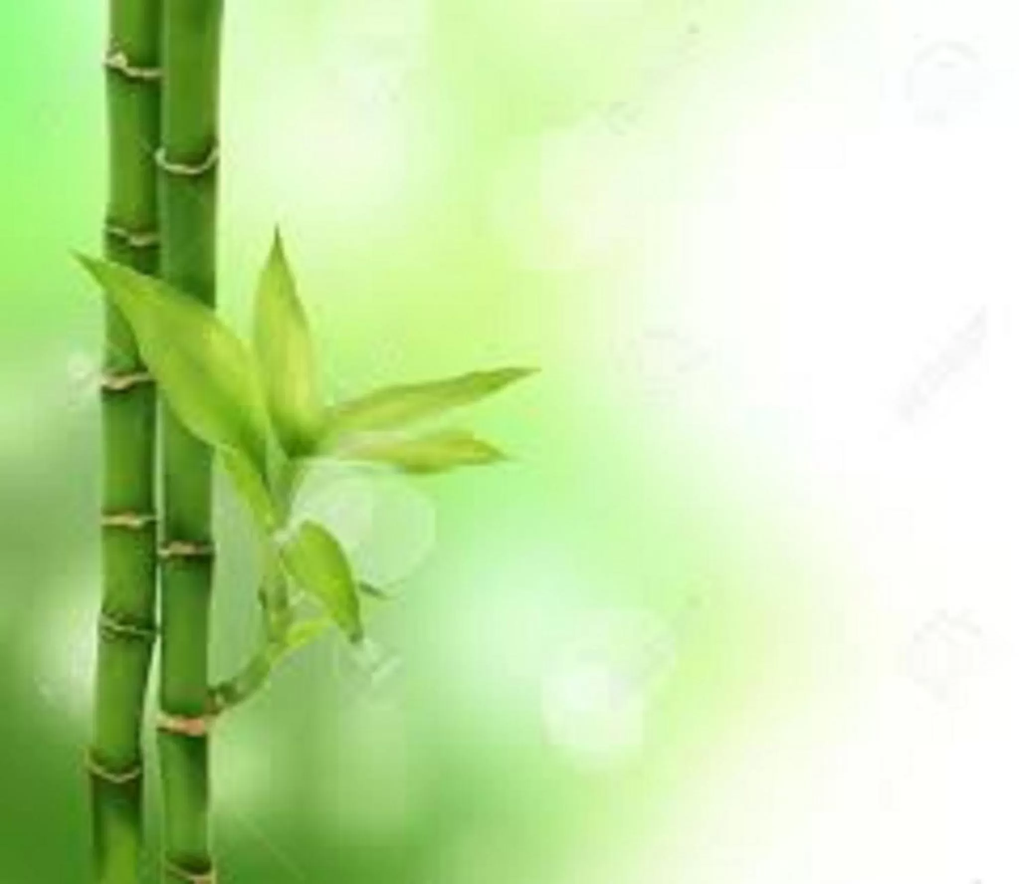 Activities in Premiere Classe Ales - Anduze