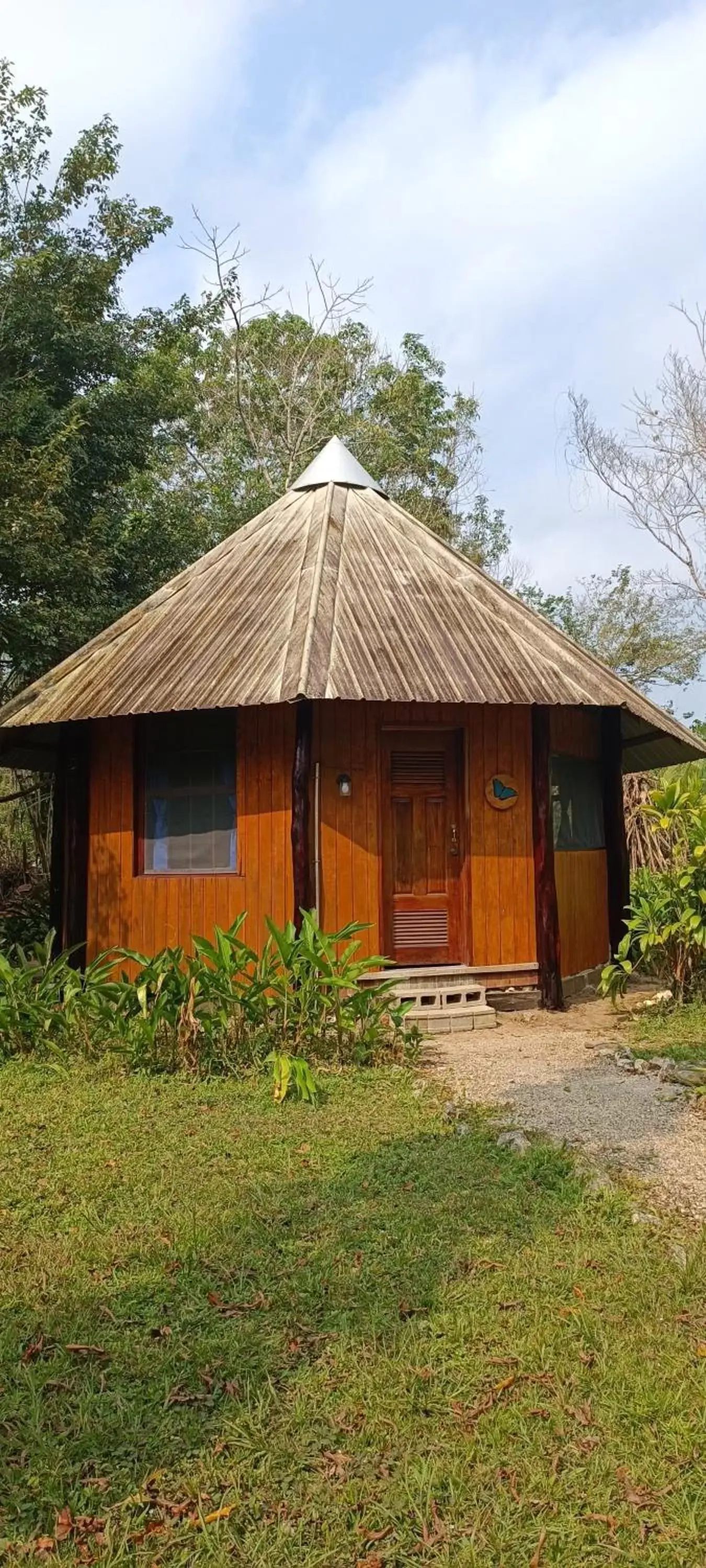 Single Bed in Dormitory Room in Sun Creek Lodge Single Bed in Dormitory Room in Sun Creek Lodge