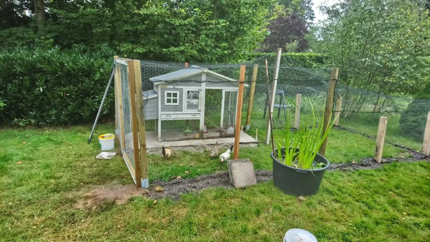 Pets, Children's Play Area in 't Rond Bargie