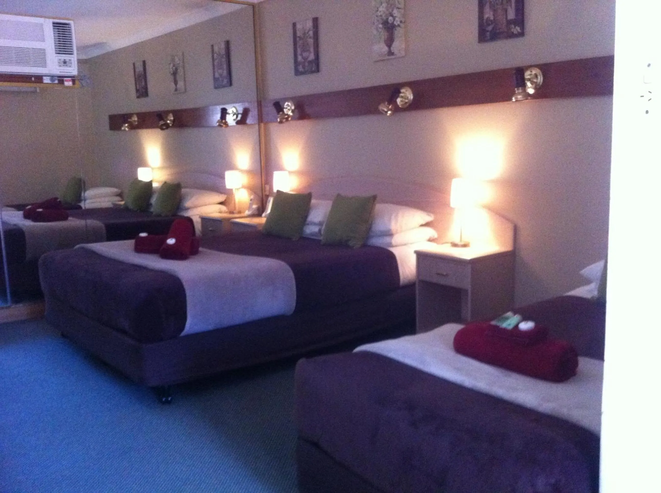 Photo of the whole room in Elsinor Motor Lodge