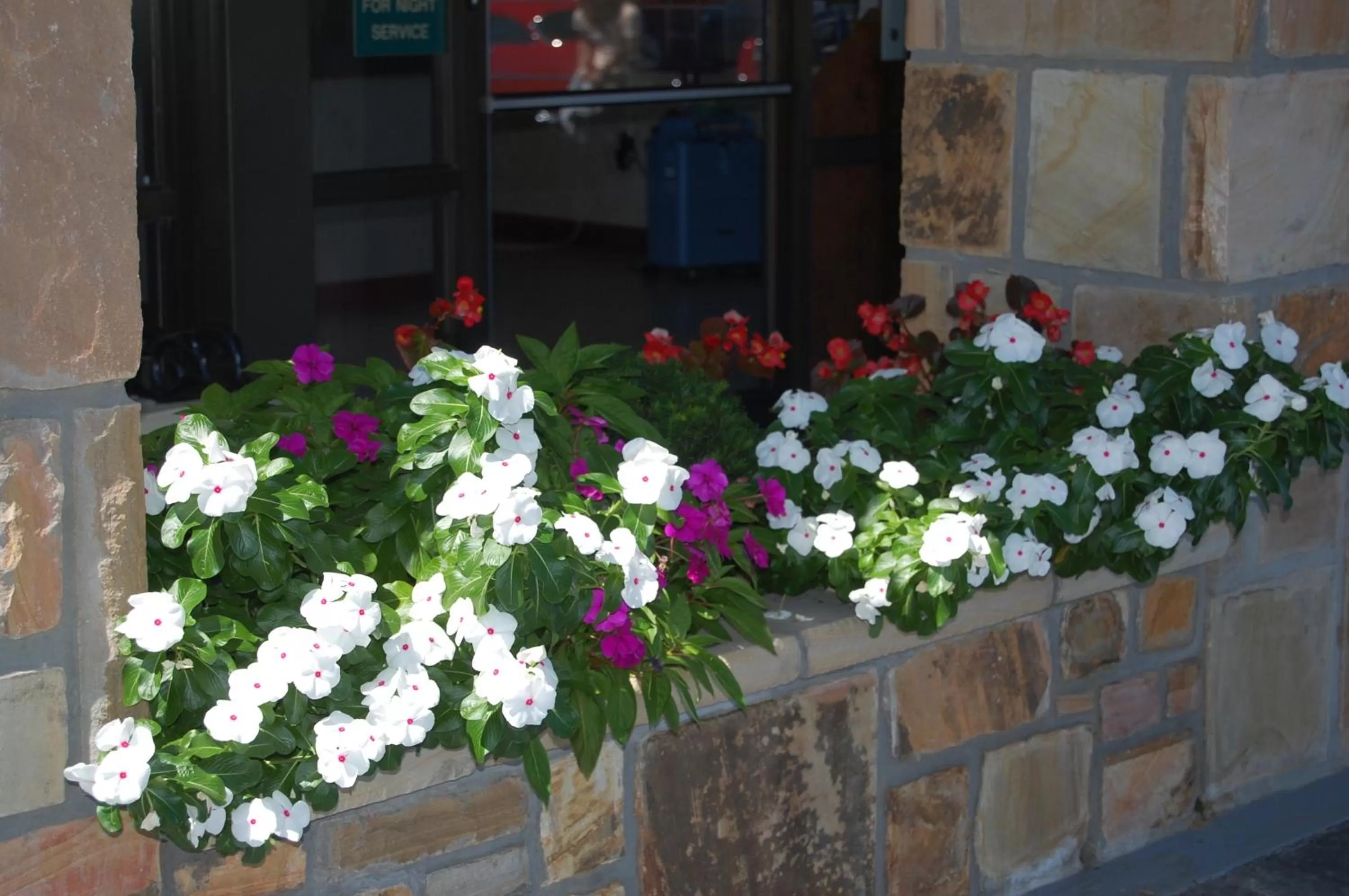 Garden in Vacation Lodge