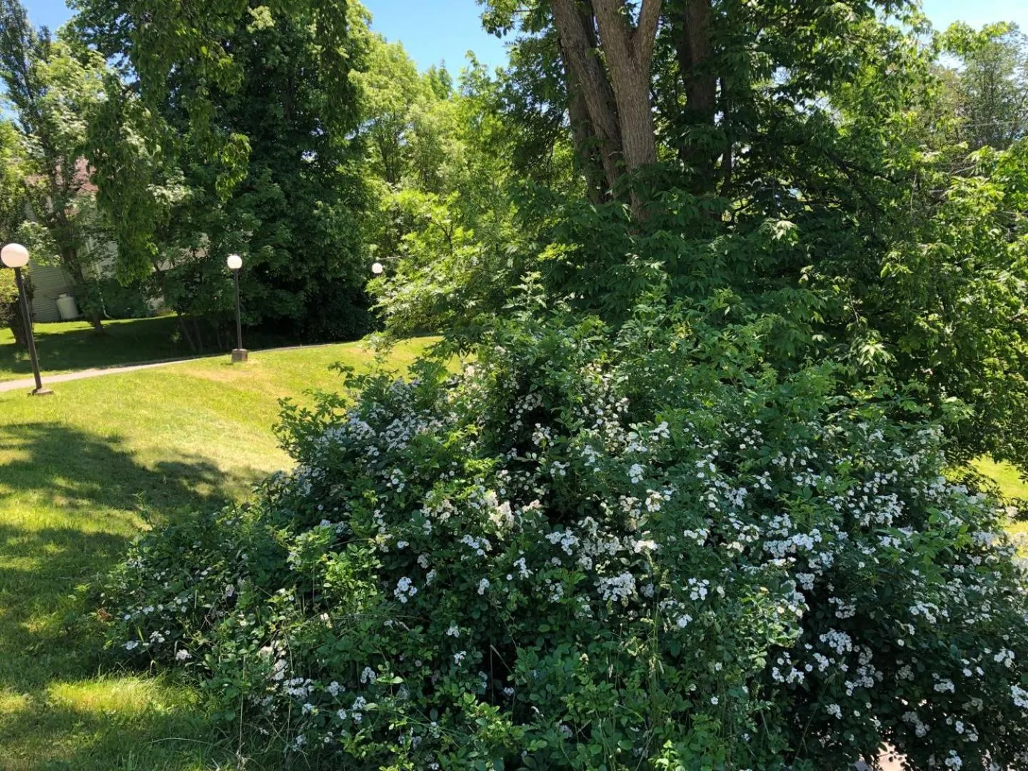 Garden view in Braeside Country Inn
