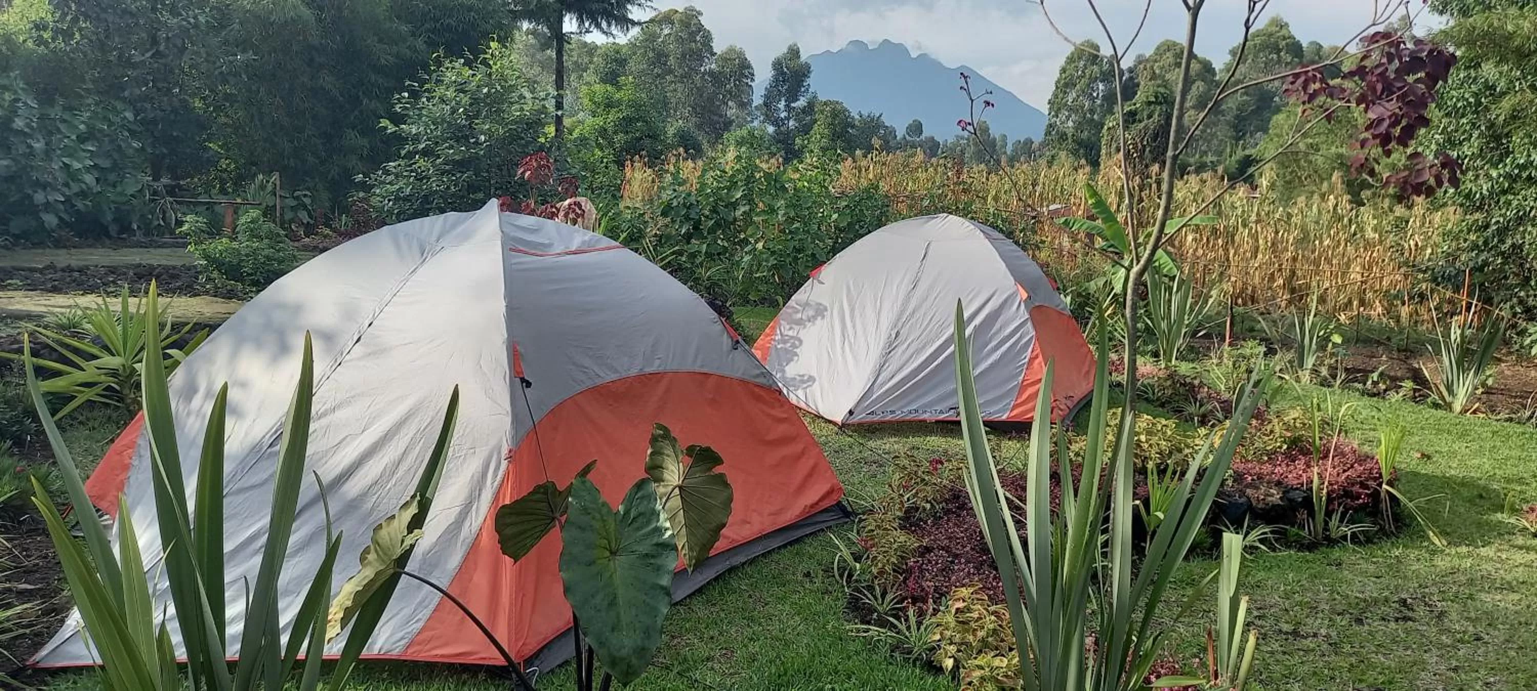 Garden in Fravan Eco Resort By Apogee