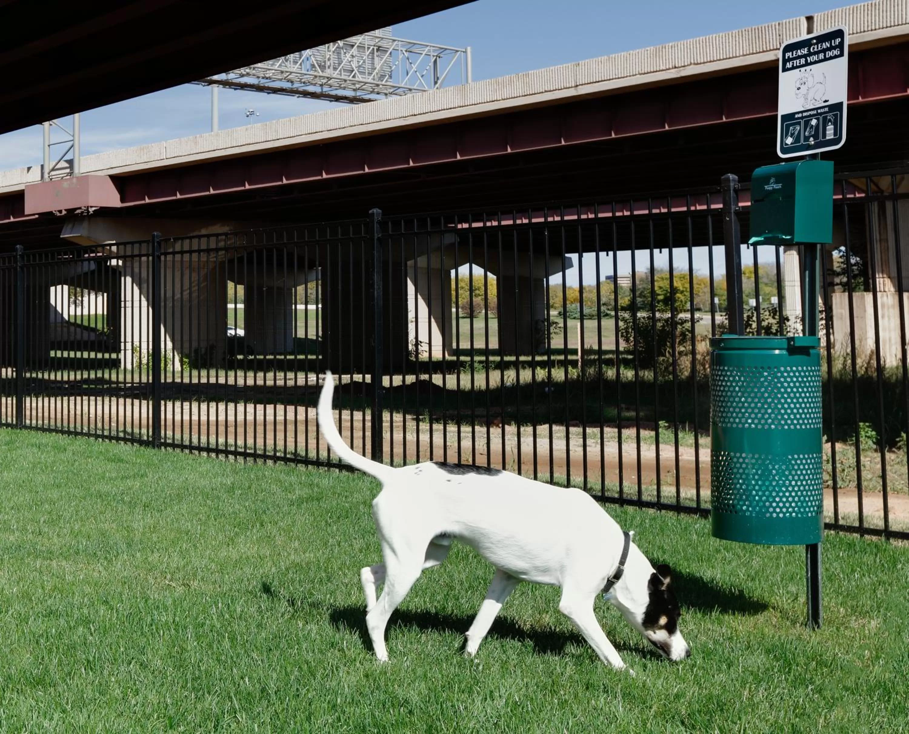 Lobby or reception in Staybridge Suites - Oklahoma City - Downtown by IHG