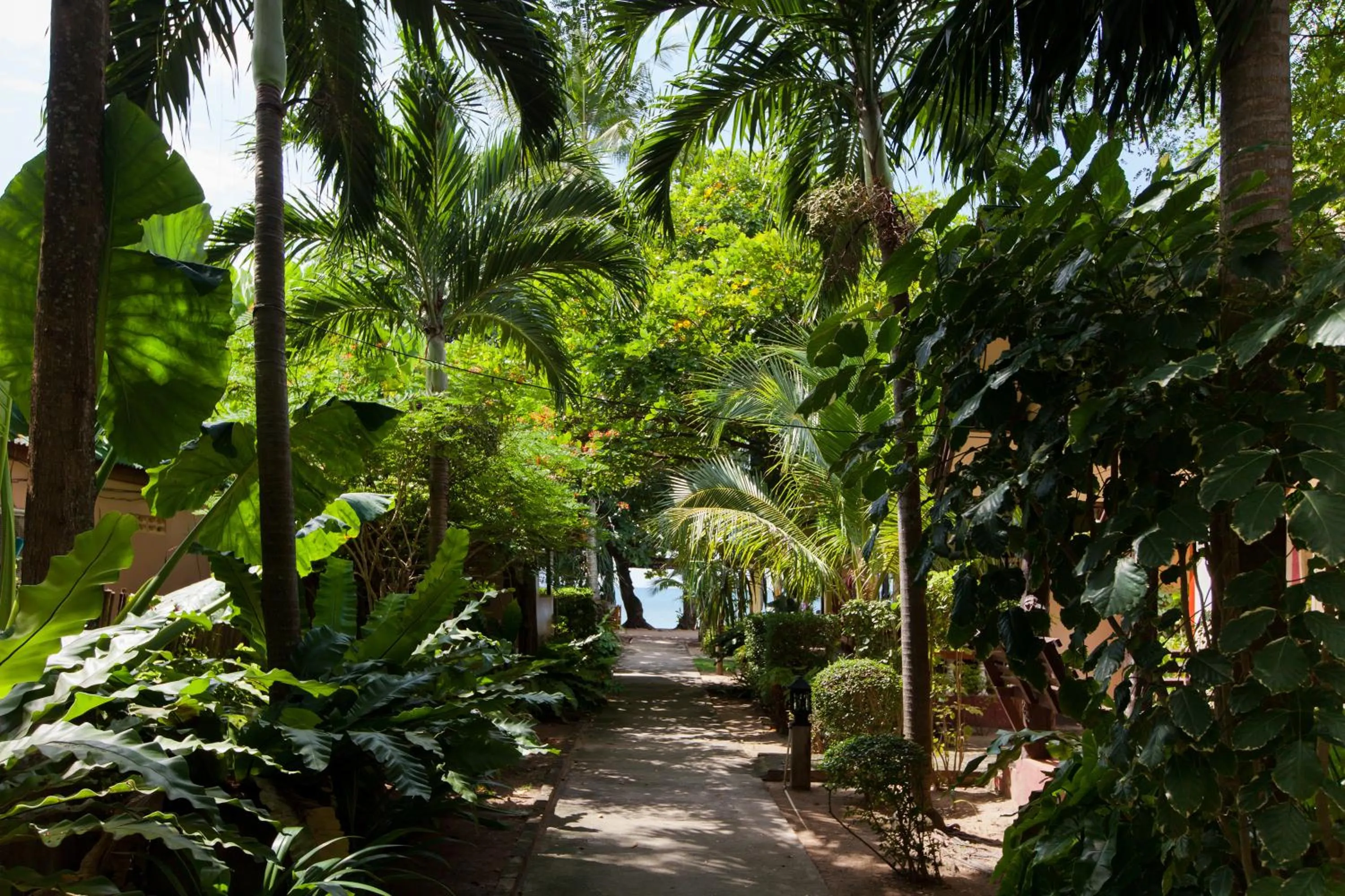 View (from property/room) in Lanta Riviera Beach Resort