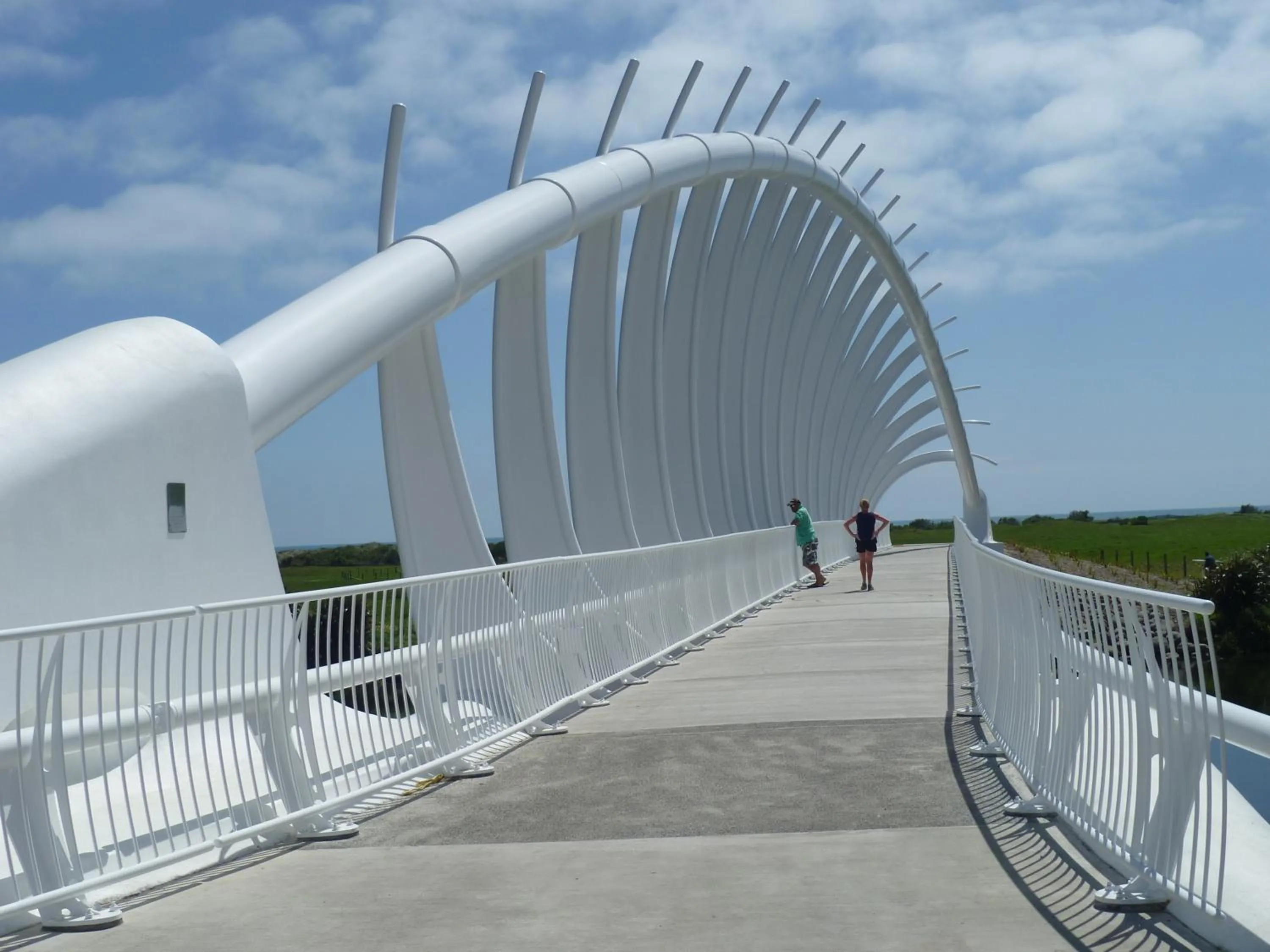 Other in Ariki Backpackers