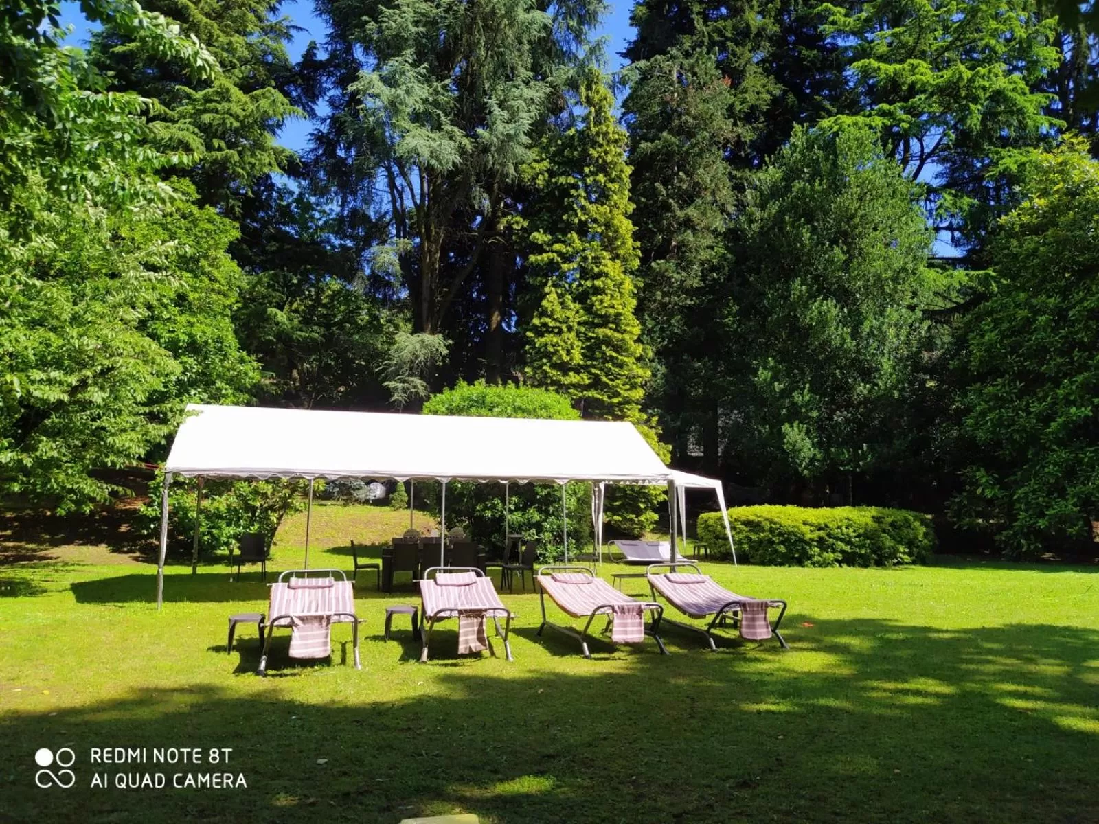 Garden view in "La Selvetta" bed and breakfast