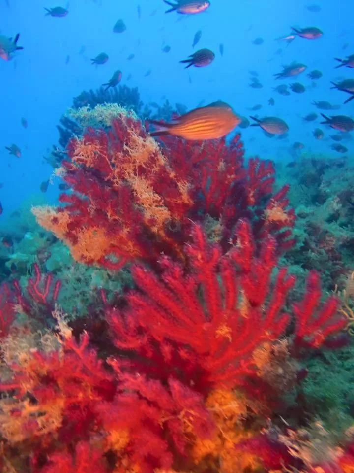 Off site in La Villa Del Patrizio