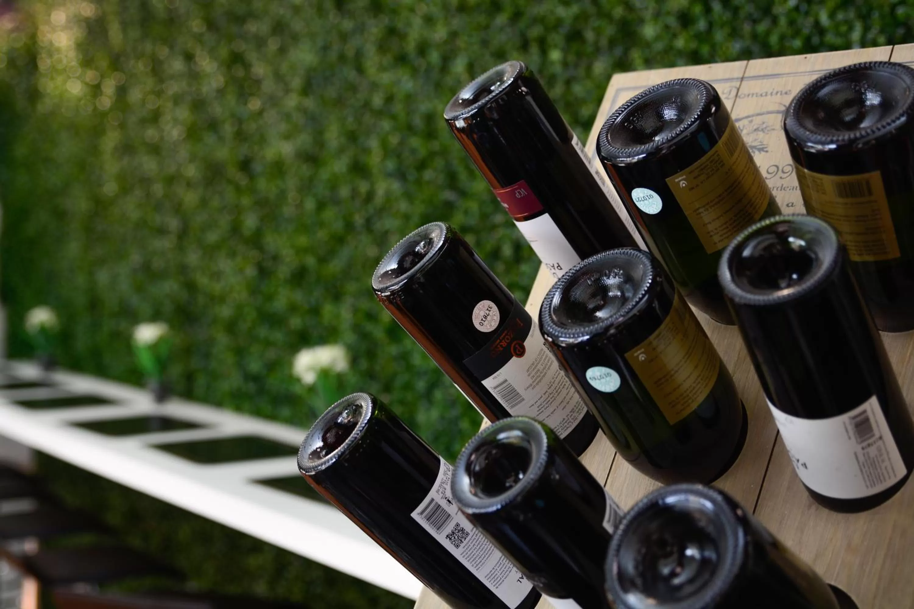 Lounge or bar in Pocitos Plaza Hotel