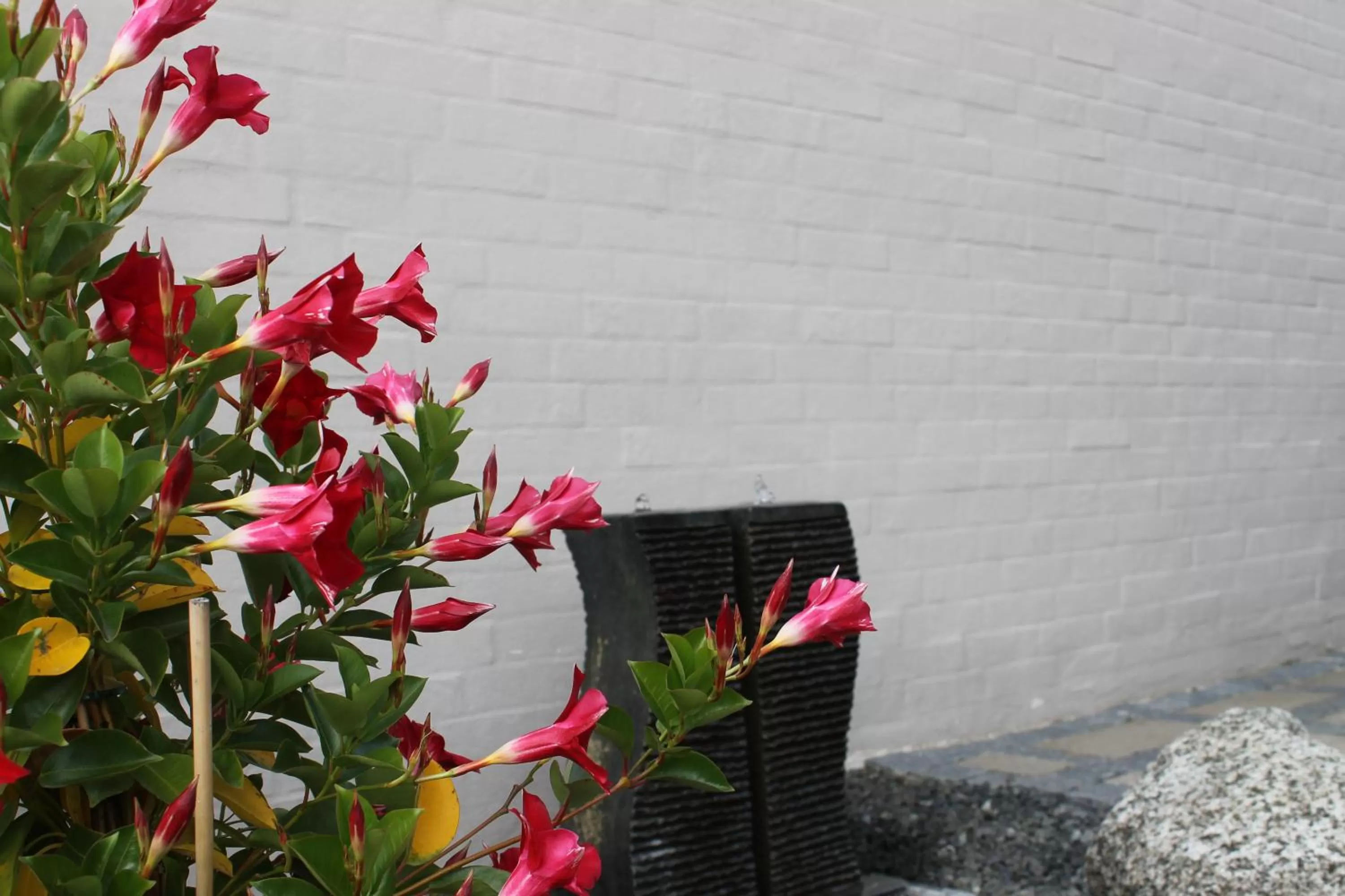 Area and facilities in Amalie Bed and Breakfast & Apartments