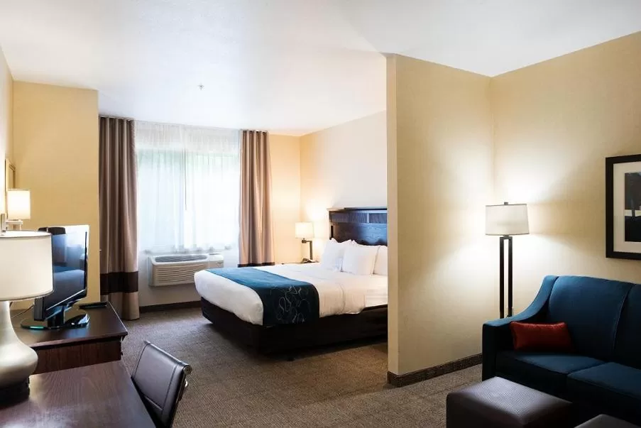 King Suite with Sofa Bed - Non-Smoking in Comfort Suites Lake Geneva East