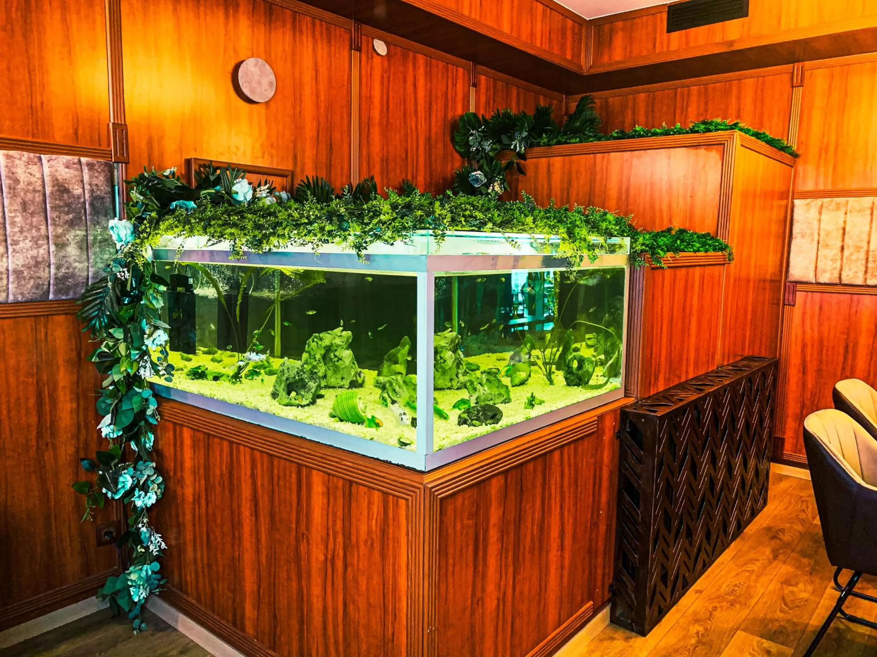 Restaurant/places to eat in Hotel Driada