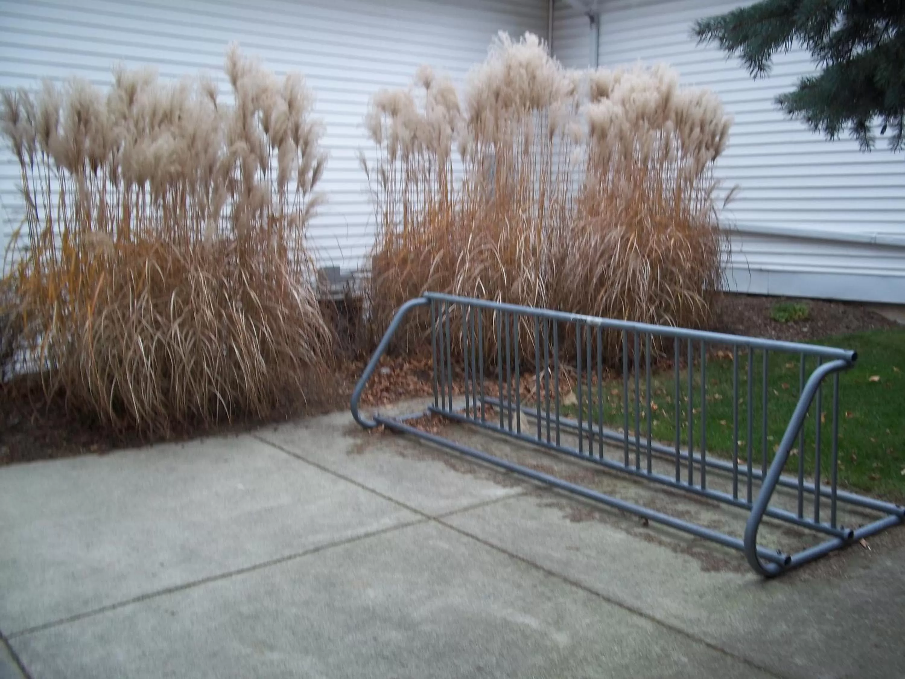 Cycling in Homestead Suites - Fish Creek