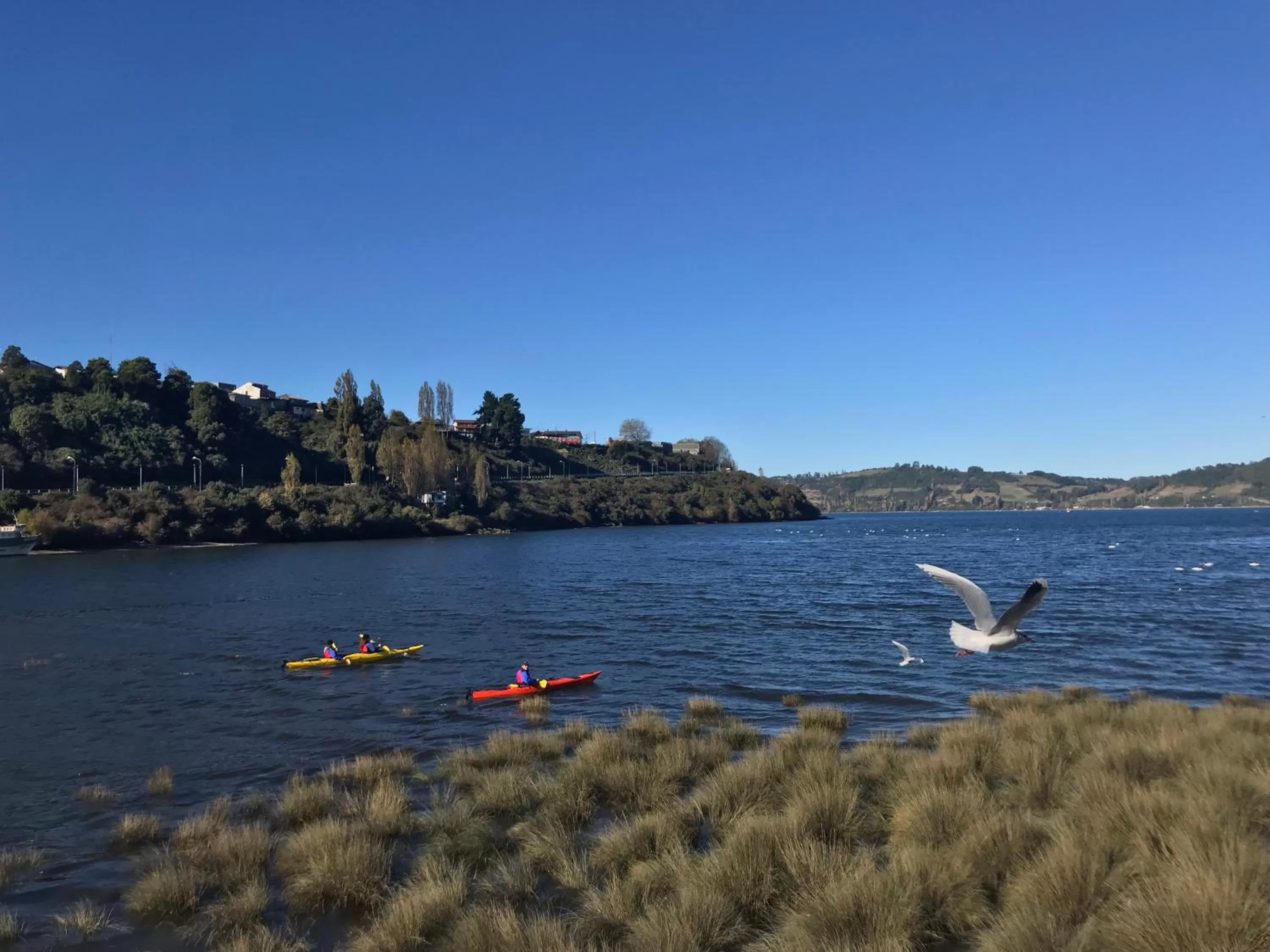 Decorative detail in Palafito 1326 Hotel Boutique Chiloé