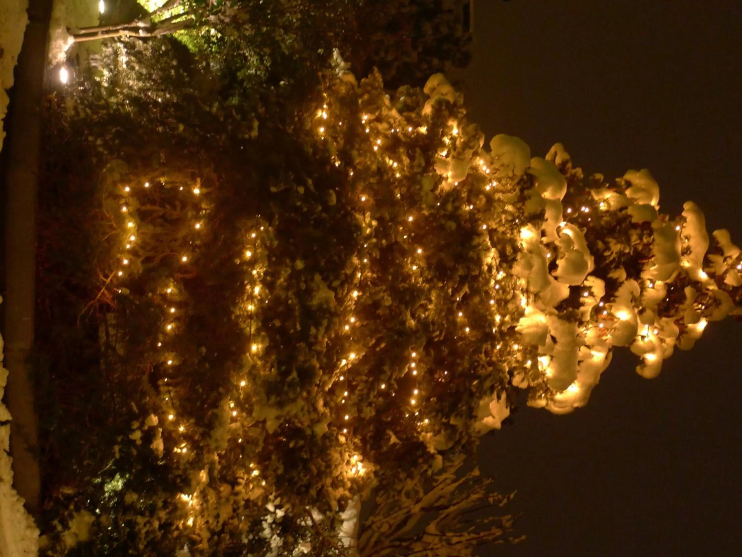 Natural landscape in Motel K