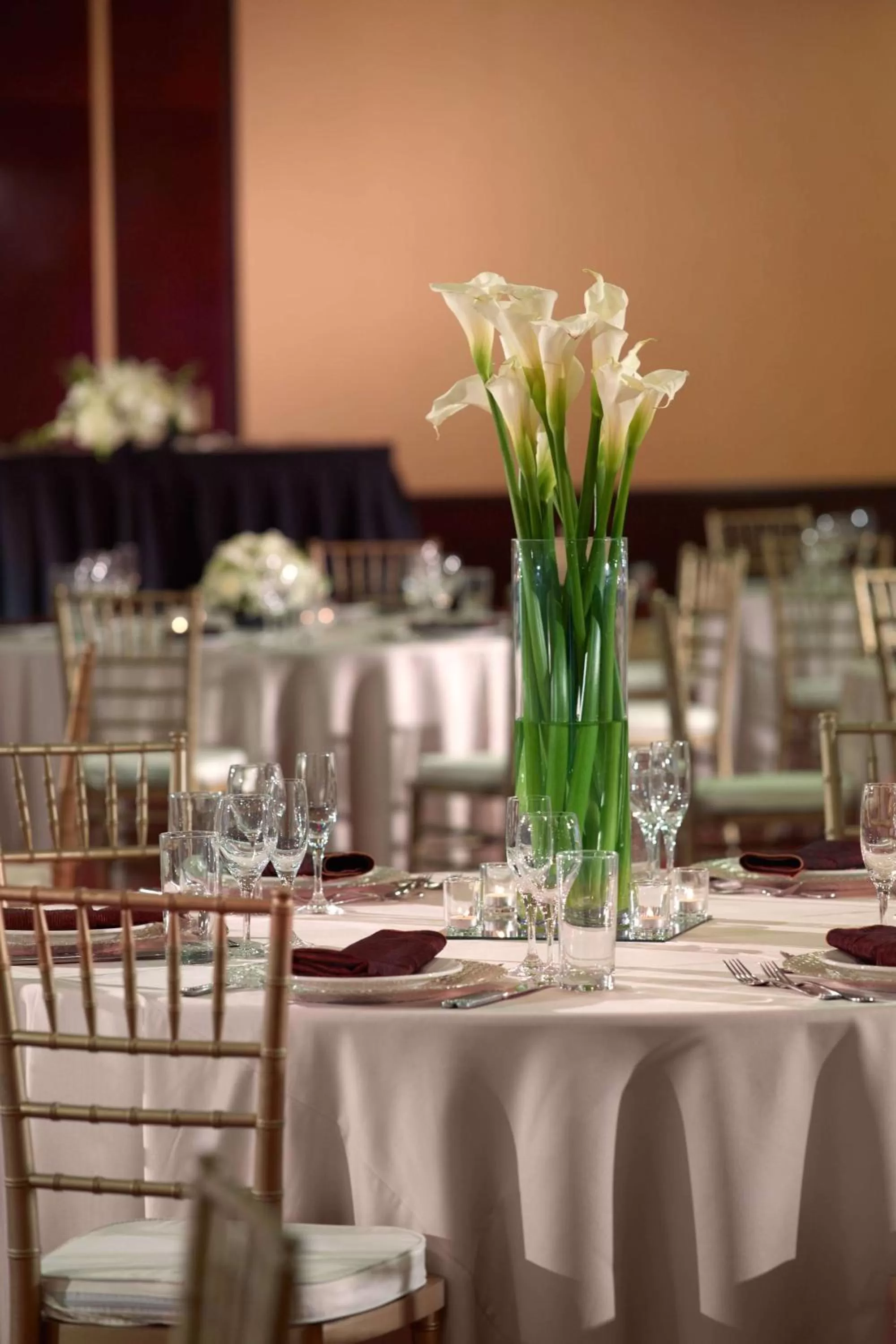 Other in Sonesta Nashville Airport