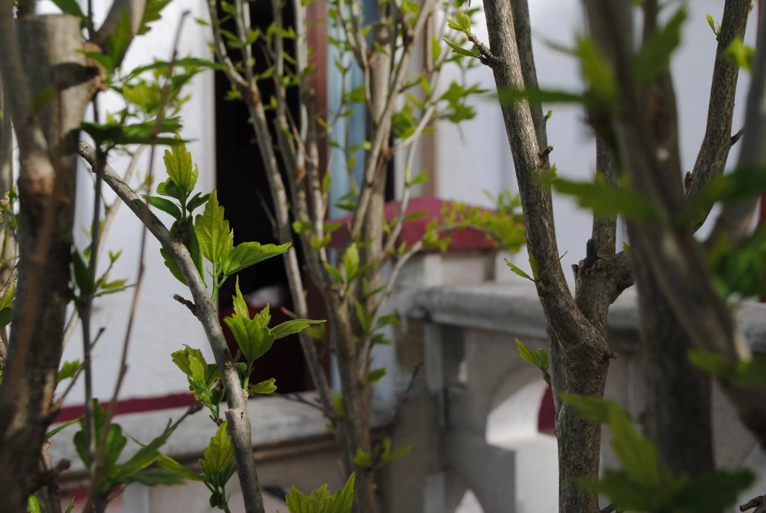Le Dimore Del Sarto Polignano a mare