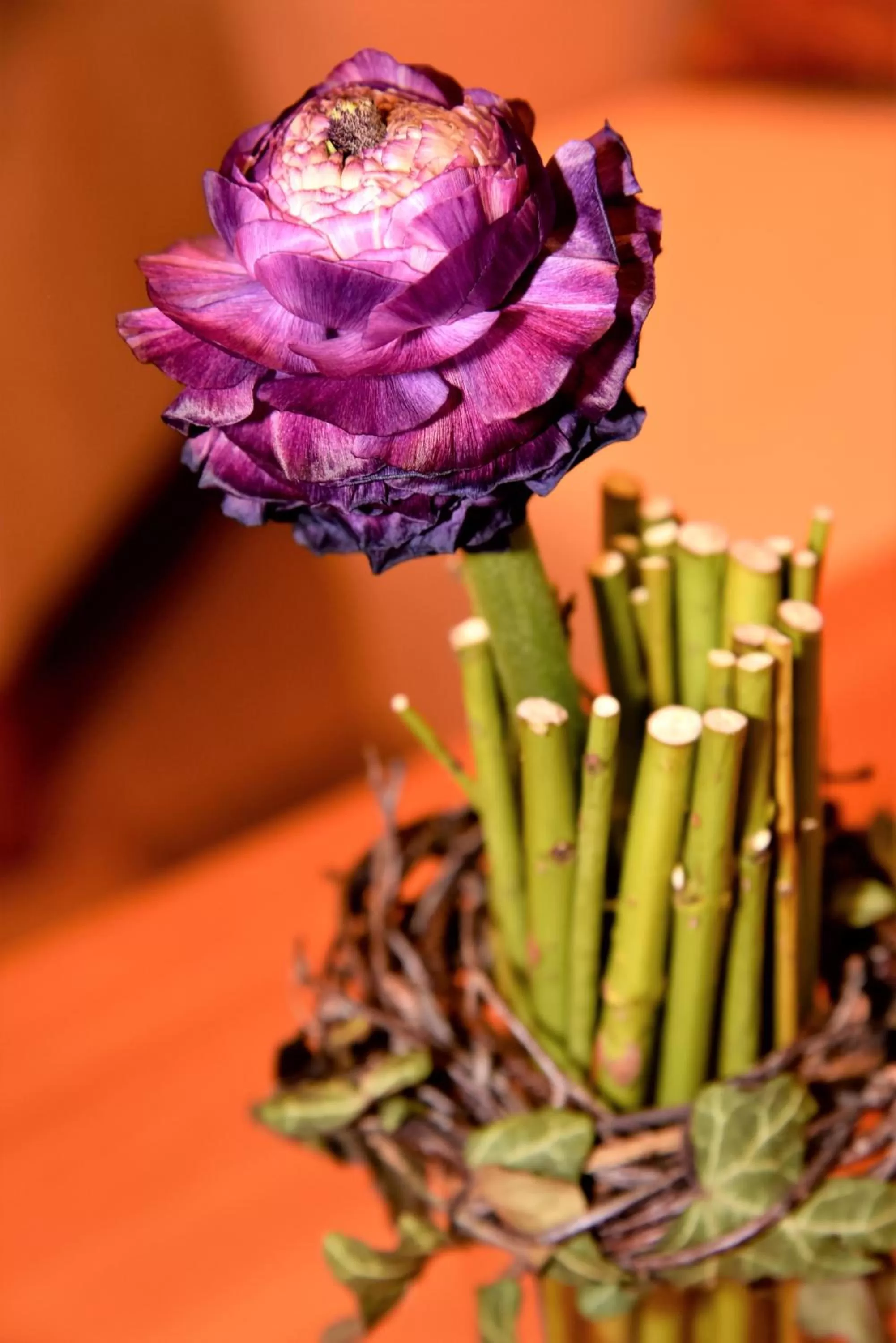 Decorative detail in Hotel am Spisertor