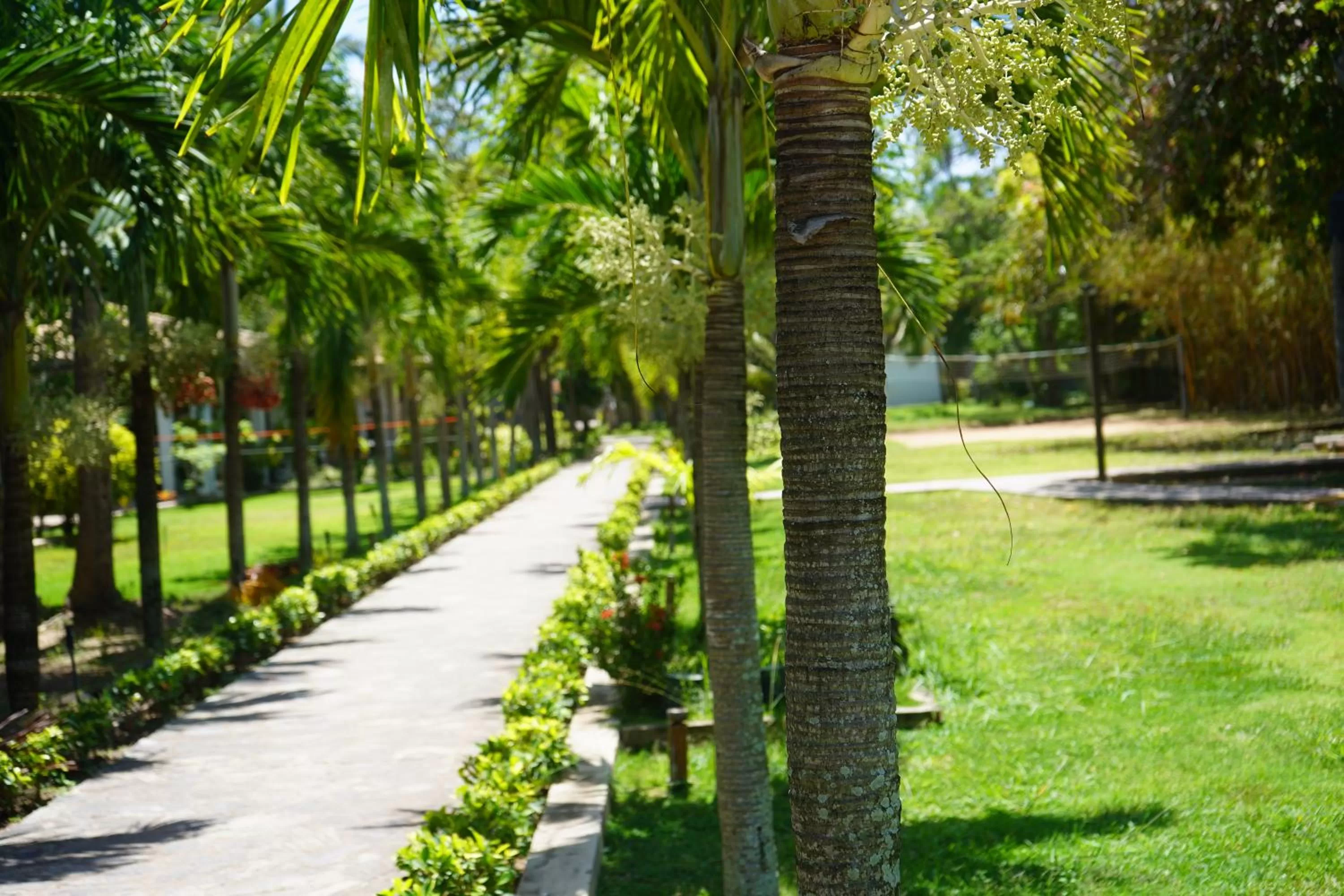 Natural landscape in Amaluna Resorts