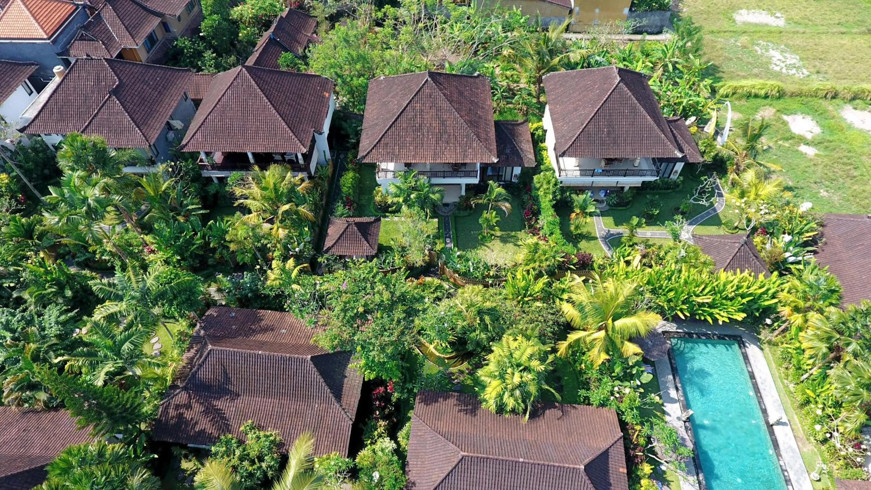 Bird's eye view in Bali Dream Resort Ubud