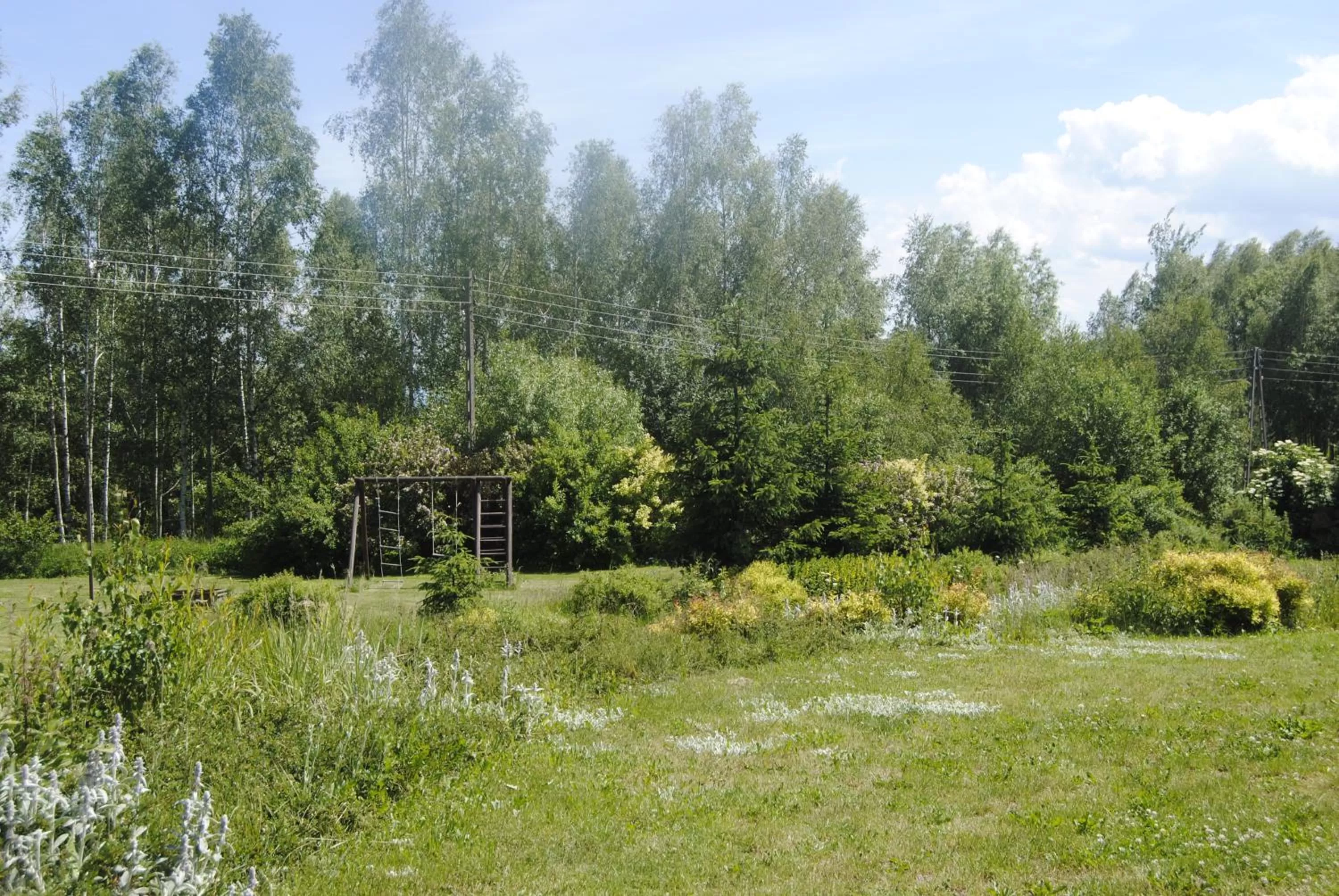 Natural landscape in Villasol