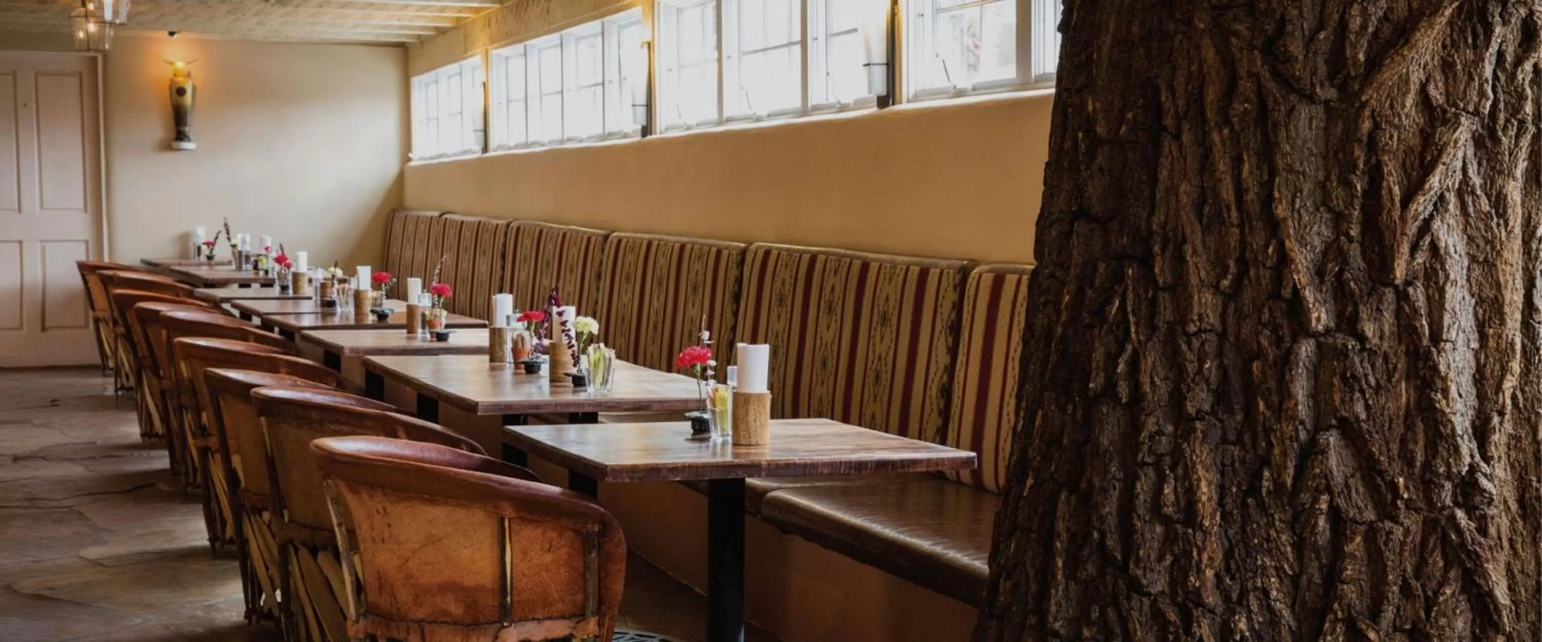 Restaurant/places to eat in Las Palomas