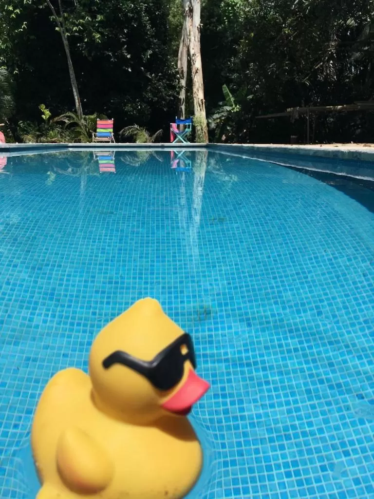 Natural landscape, Swimming Pool in Sand Dollar Beach Bed & Breakfast