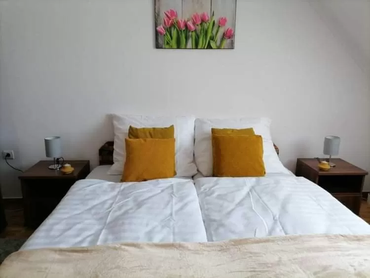 Aqua Oazis Apartman