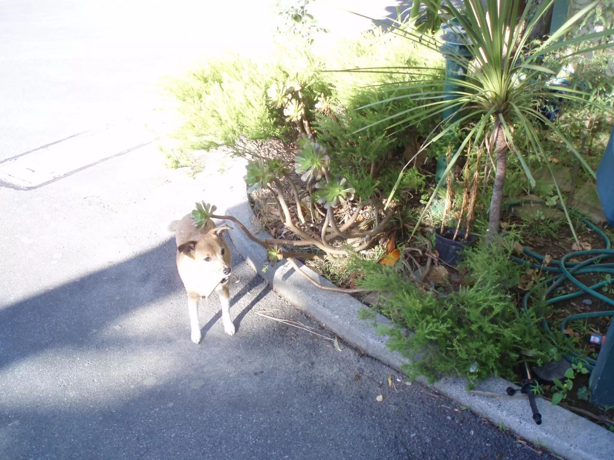 Staff in Fernhill Motor Lodge
