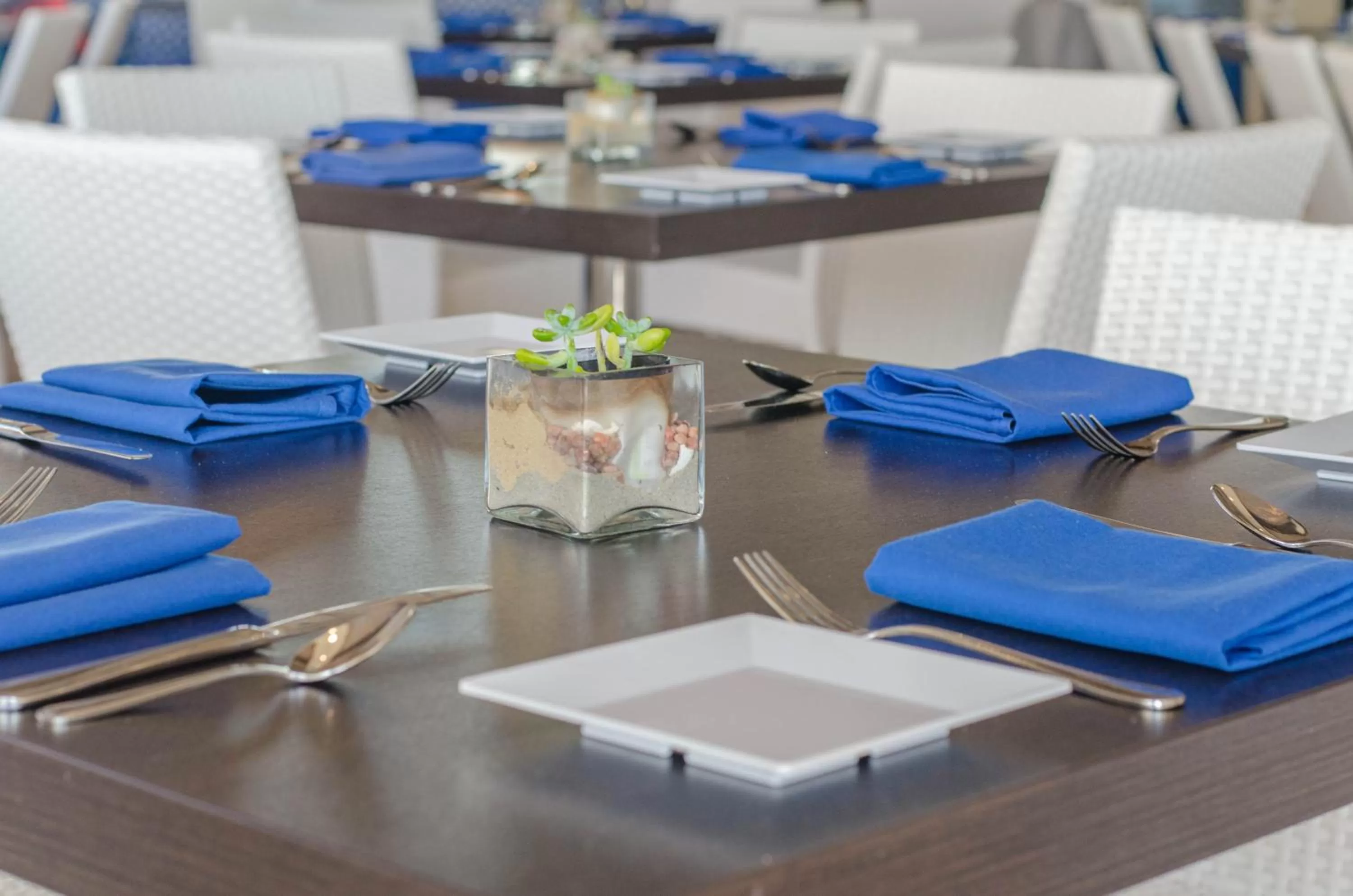 Restaurant/places to eat in ICONA Diamond Beach