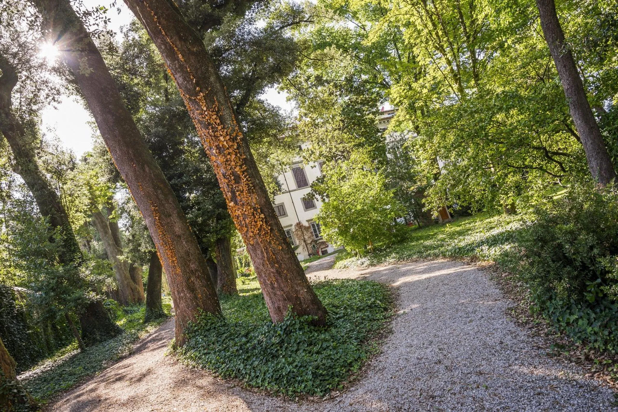 Garden in Hotel Villa La Principessa