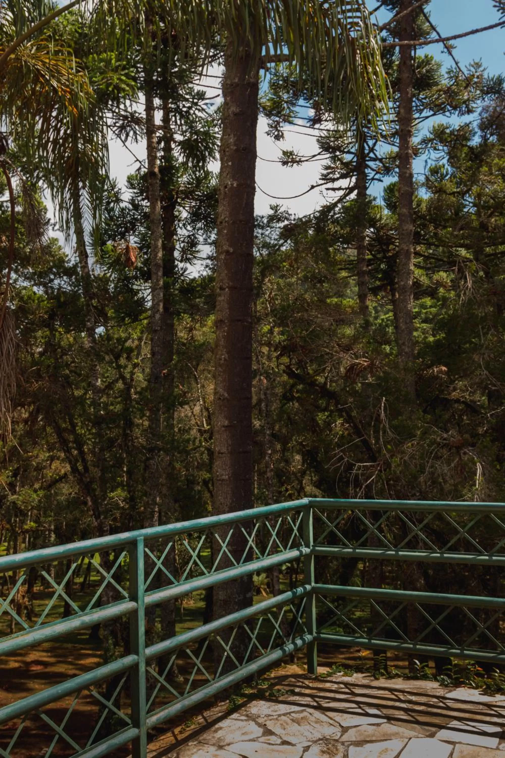 Balcony/Terrace in Green Village Hotel