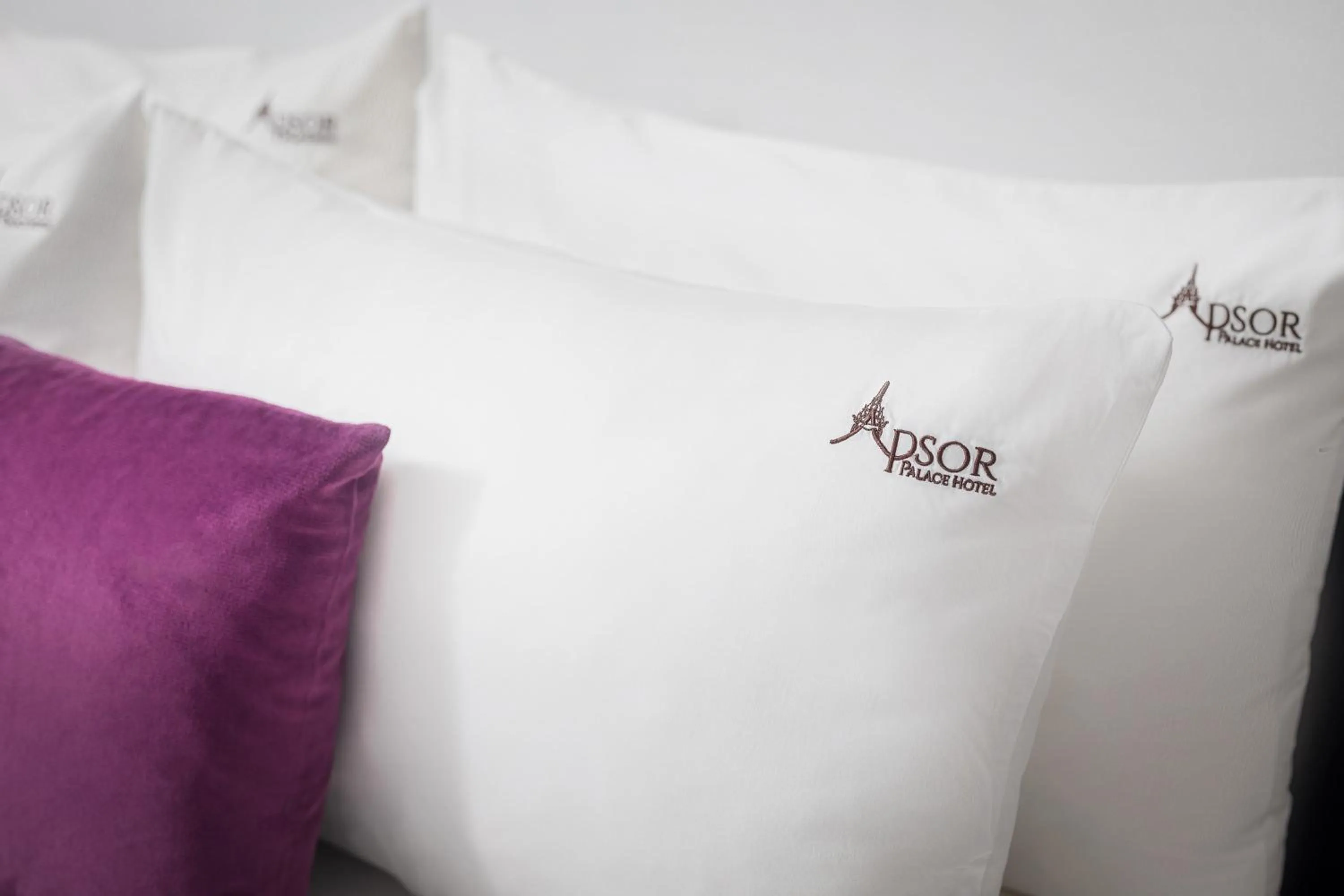 bunk bed, Bed in Apsor Palace Hotel