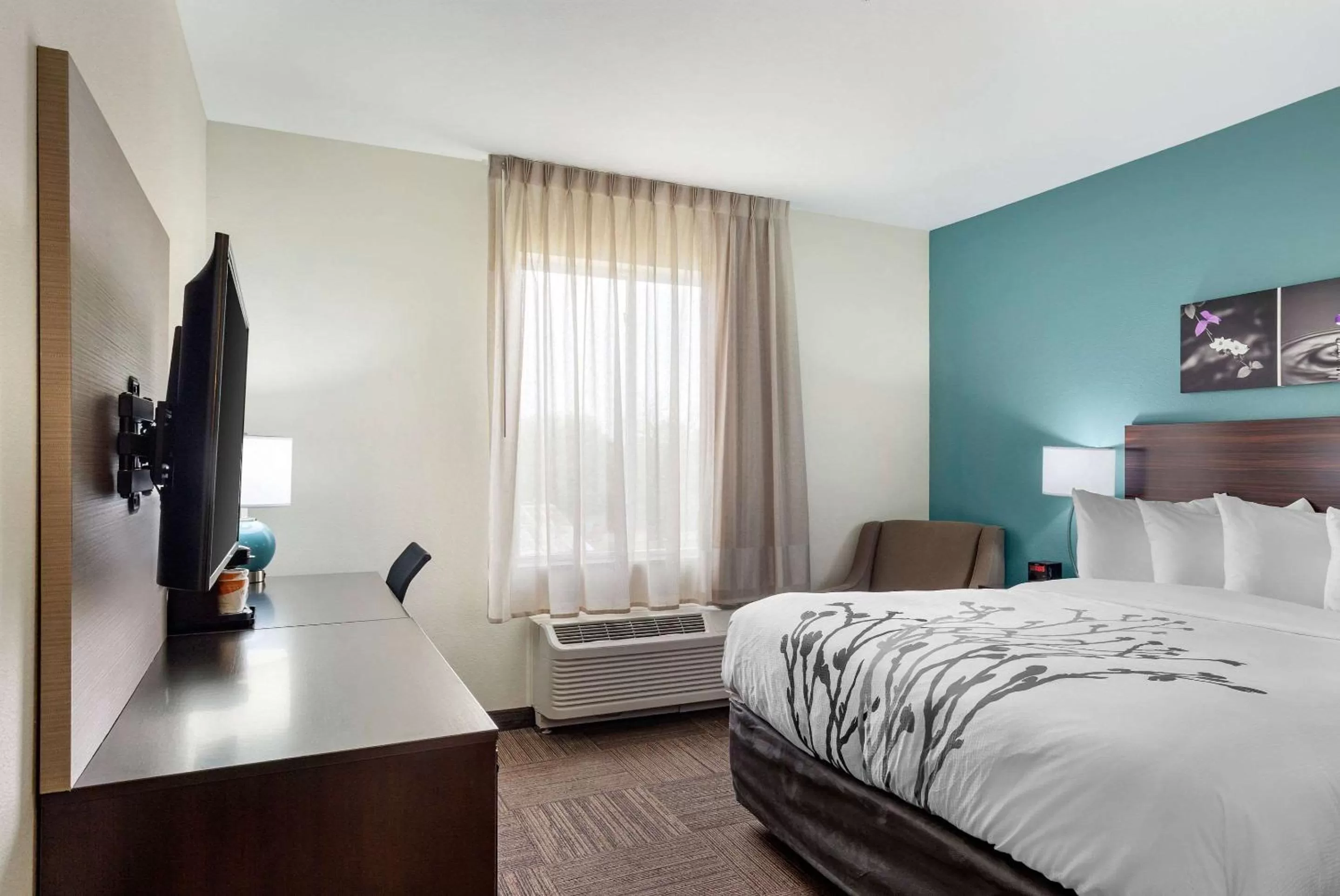 Photo of the whole room, Bed in Sleep Inn Lancaster Dallas South